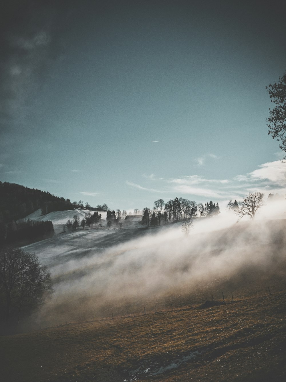 misty forest during daytime