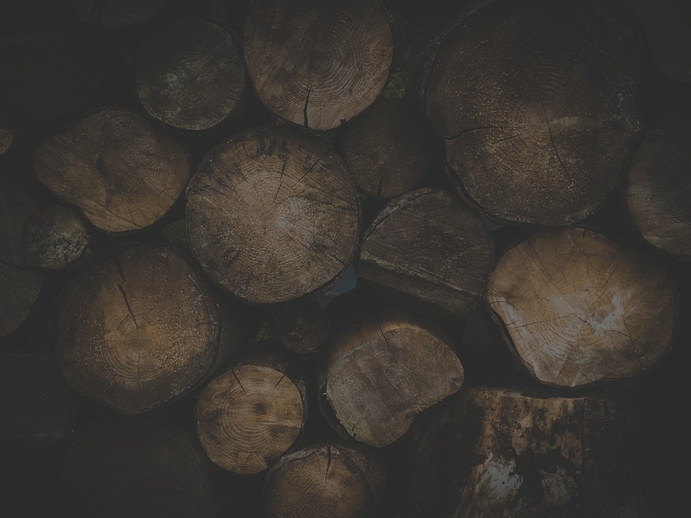 pile of wood log
