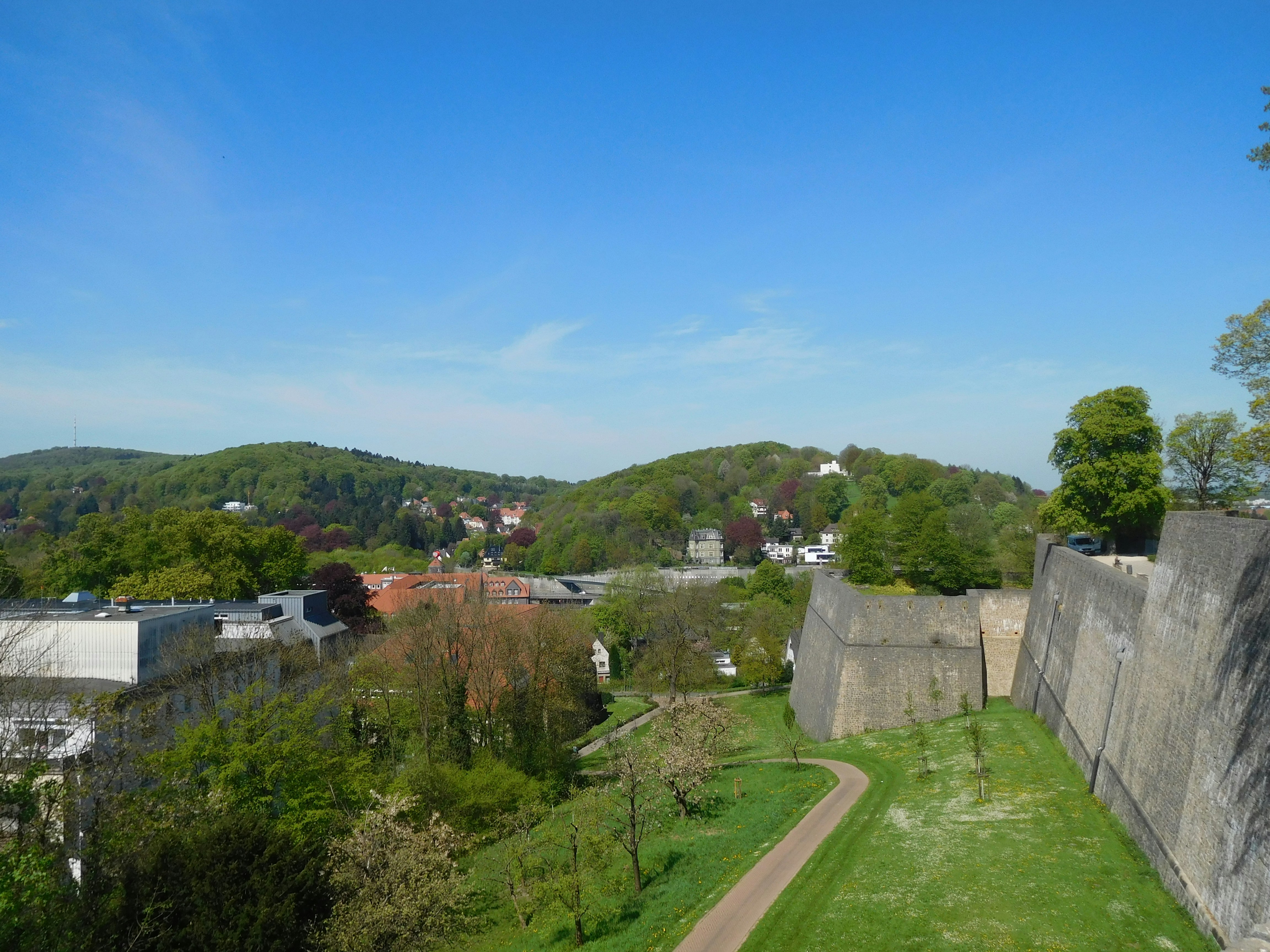 Free Unsplash photo from True In