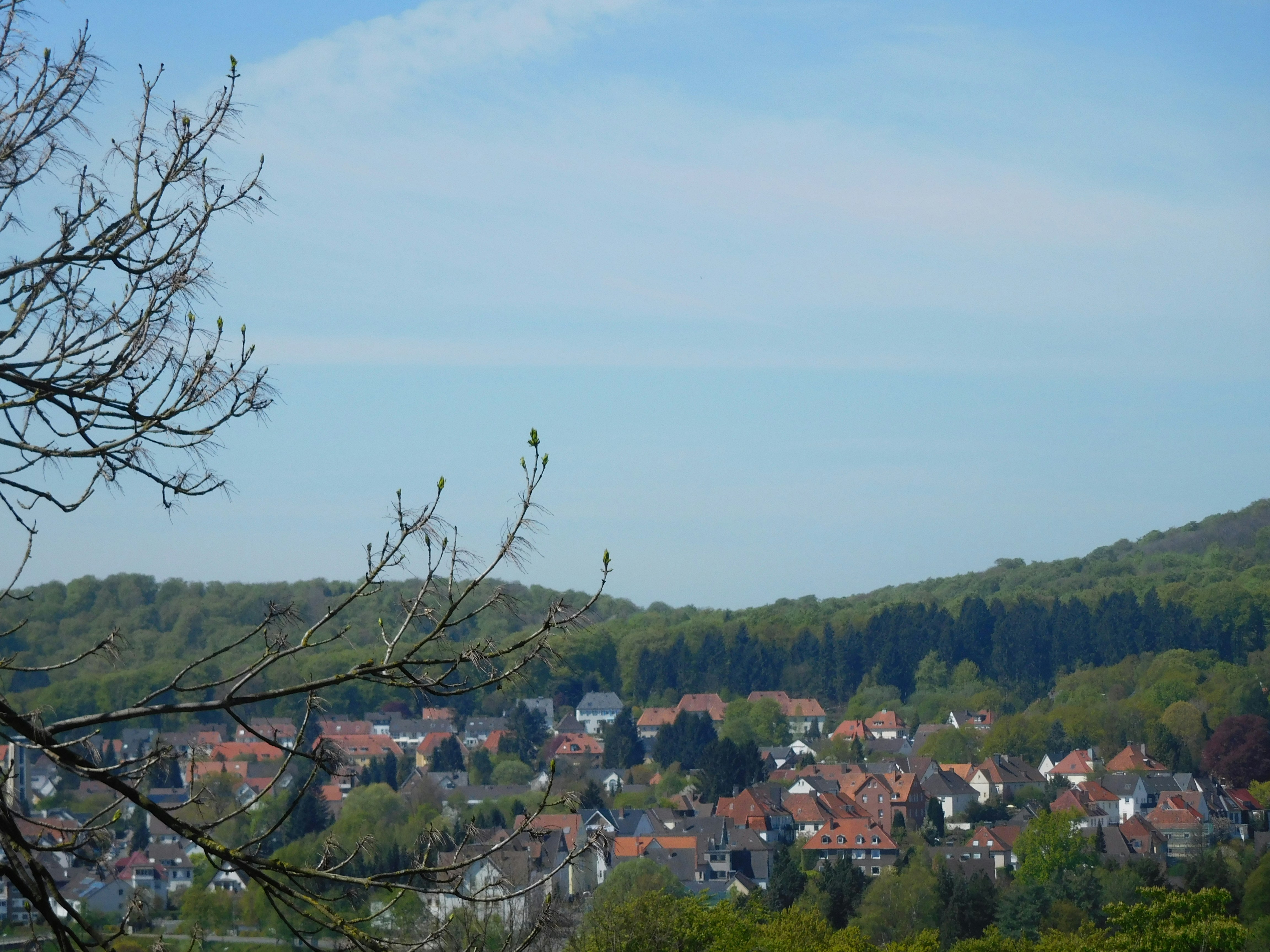 Free Unsplash photo from True In