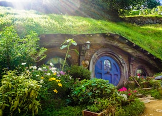 underground house covered with green grass and plants