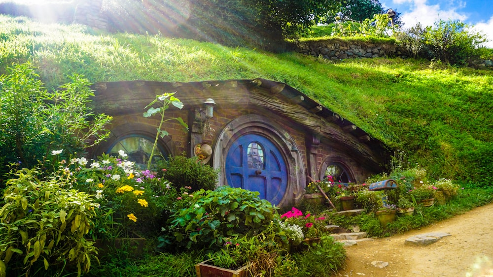 maison souterraine recouverte d’herbe verte et de plantes