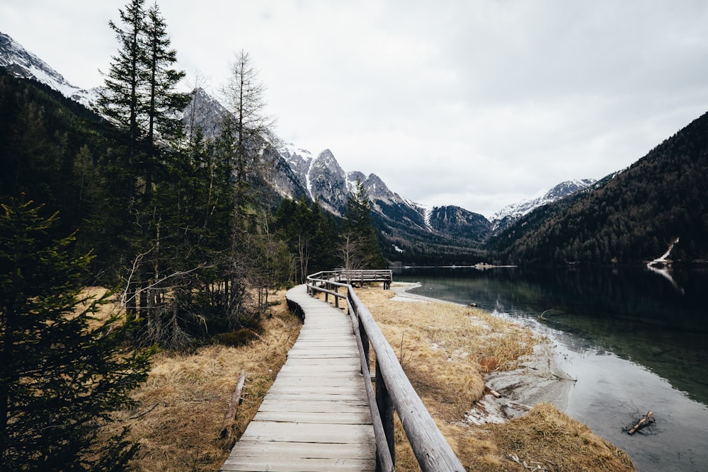 brown wooden dock by the river during daytime