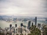 aerial photography of city skyline at daytime