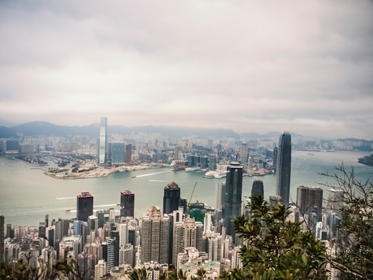 aerial photography of city skyline at daytime in Victoria Peak Hong Kong