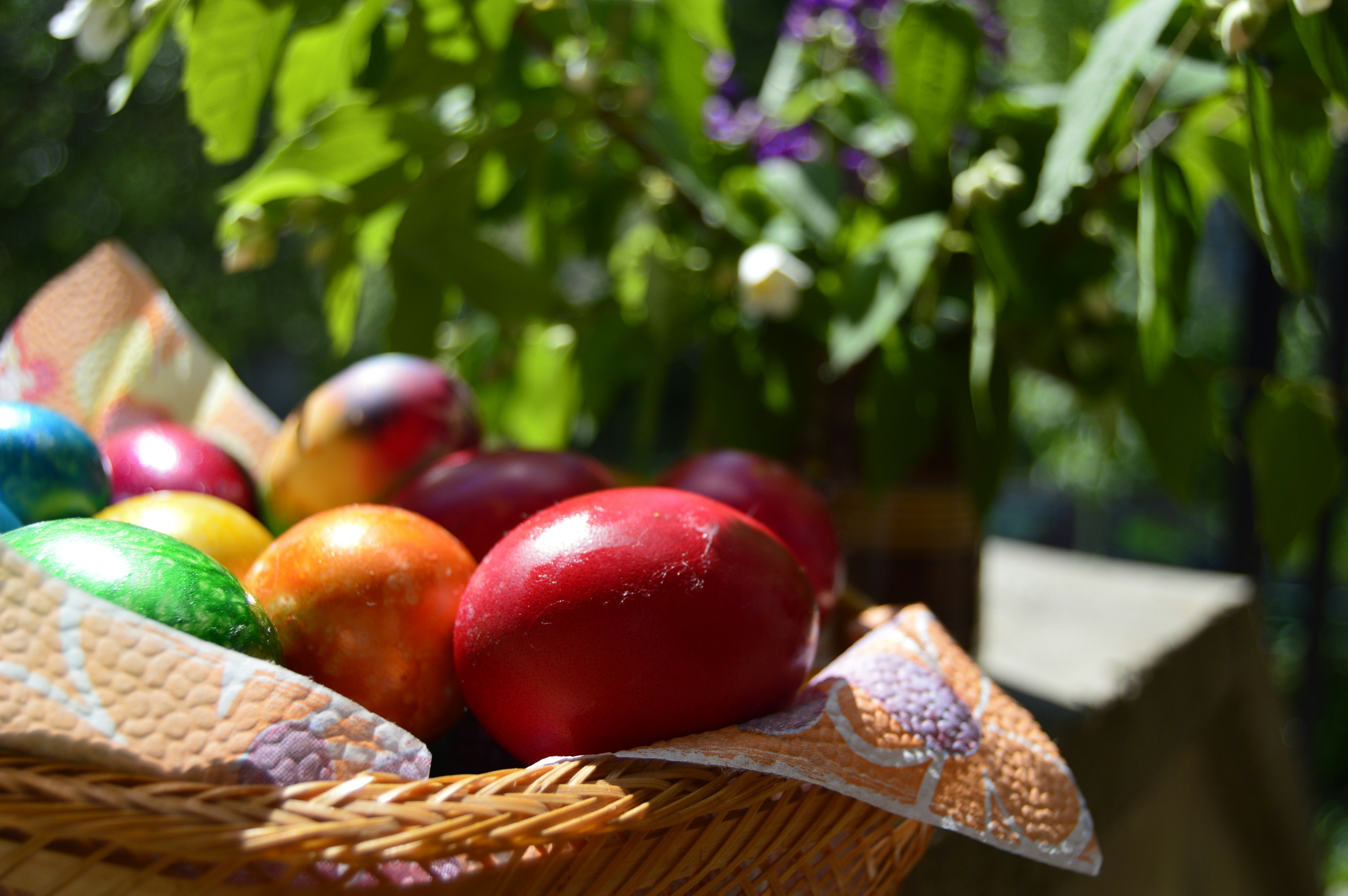 Free Unsplash photo from Cvetilena Gocheva