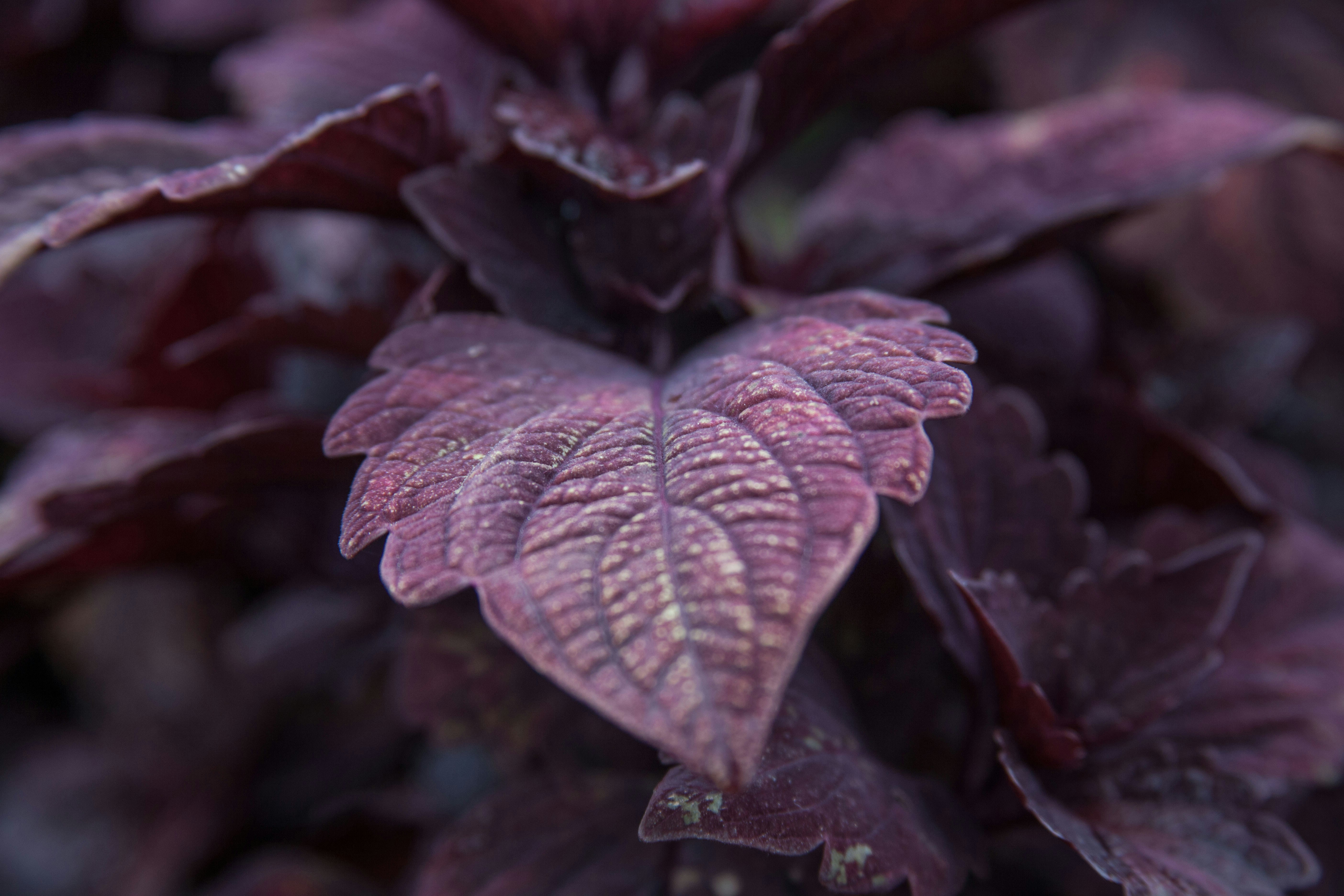 Free Unsplash photo from floboe