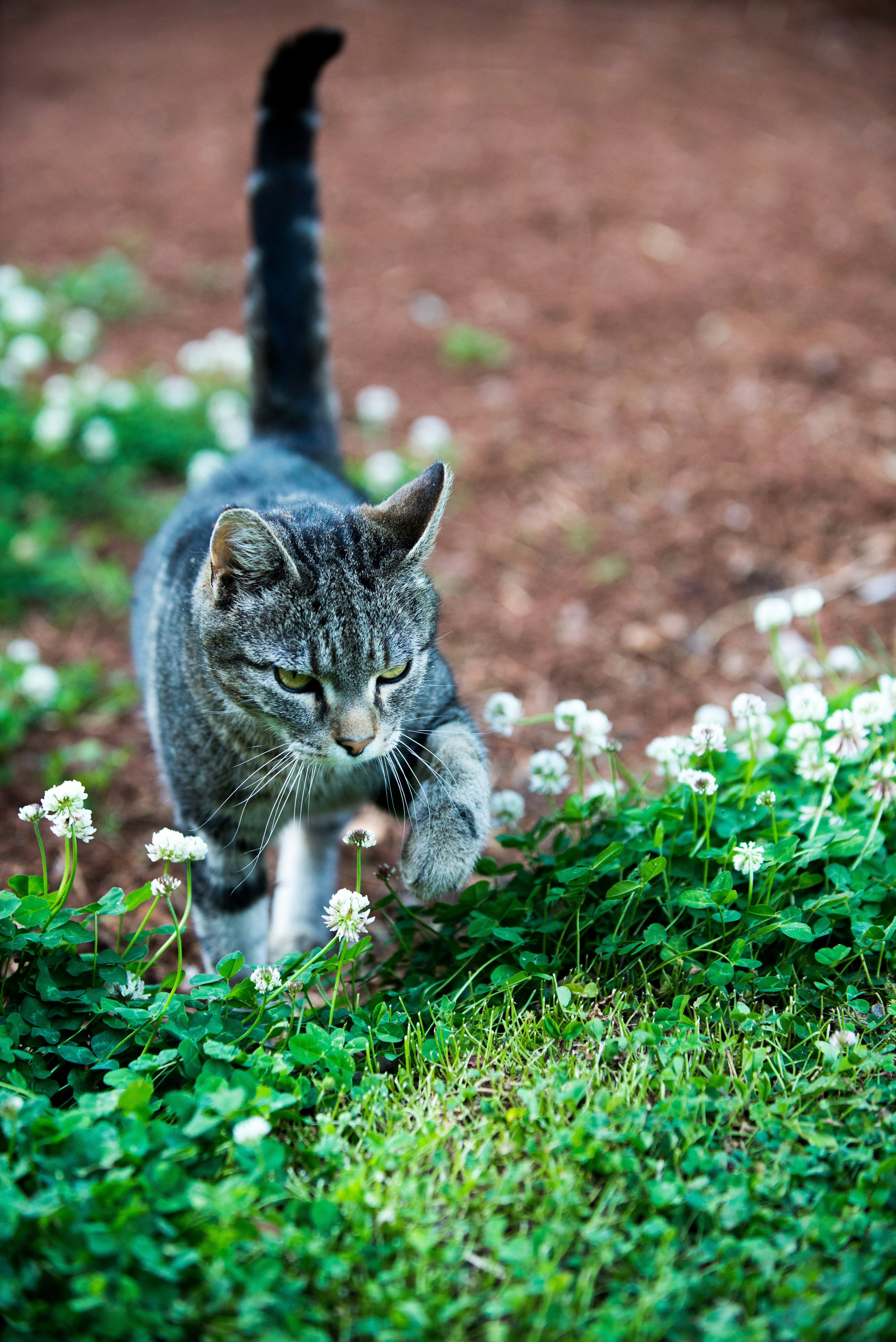 Free Unsplash photo from Luke Flynn