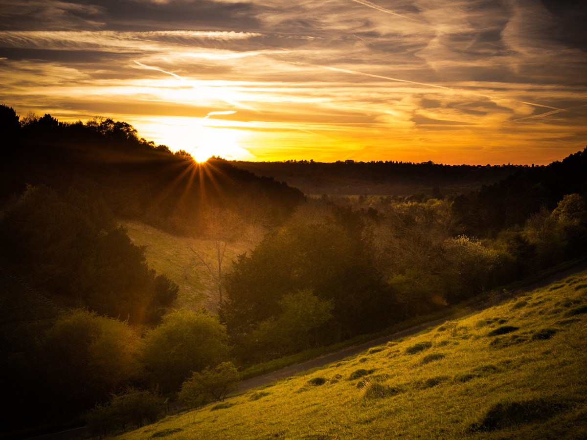 View across the Surrey Hills National Landscape near Box Hill above Dorking in Mole Valley