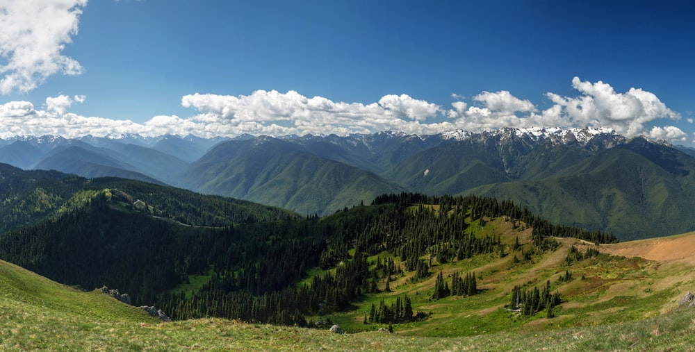 landscape photography of mountains and trees