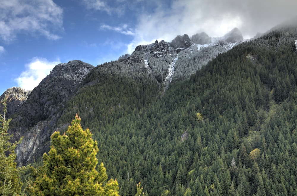 green and gray mountain under blue sky at daytime