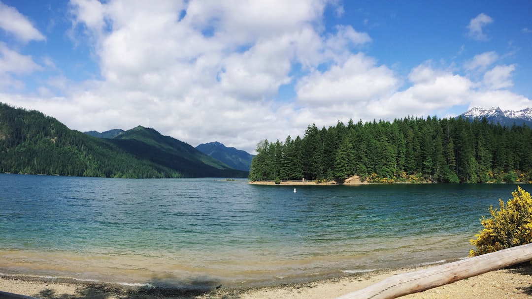 photo of Hoodsport Reservoir near Olympic National Forest