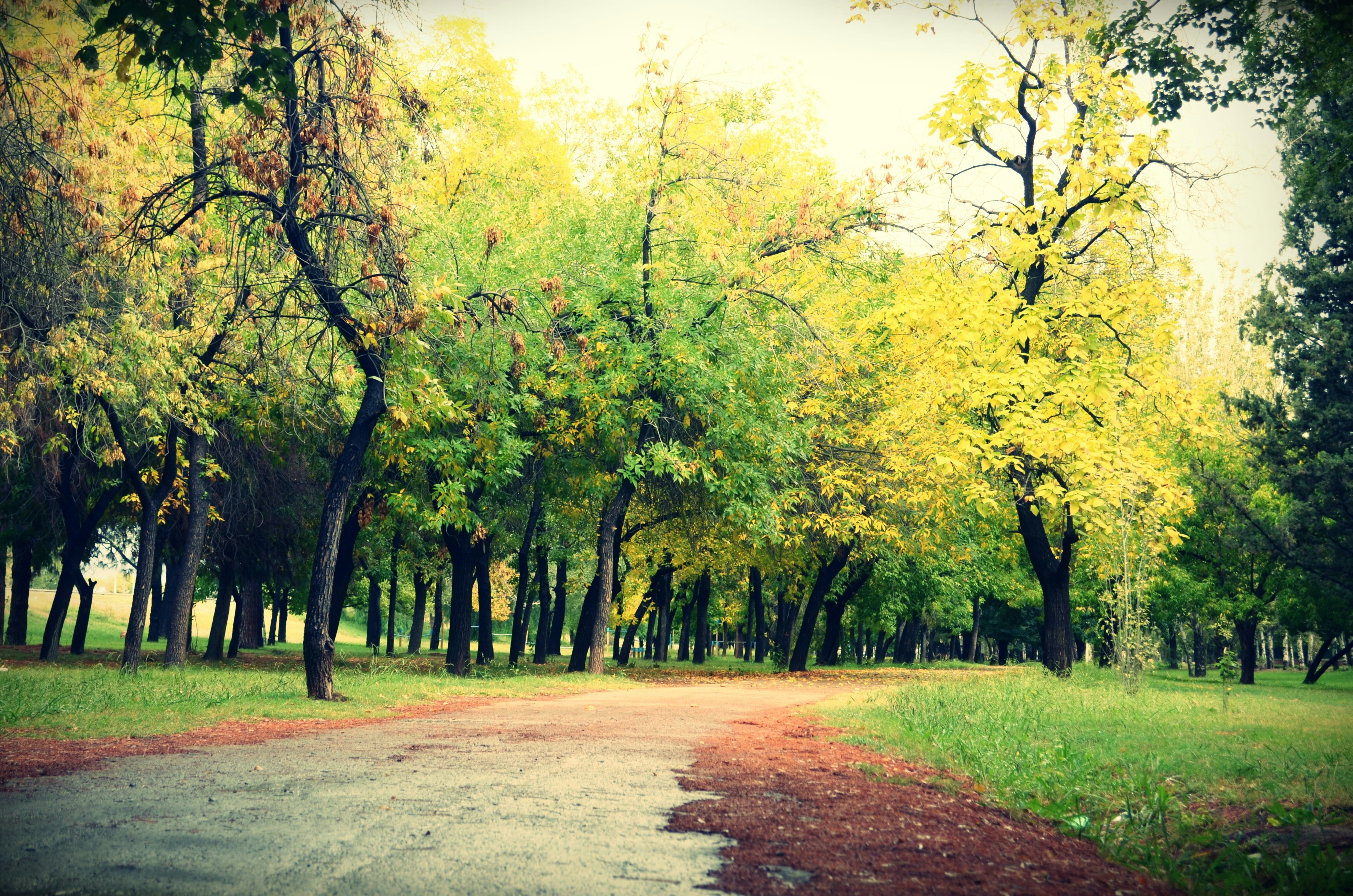 Free Unsplash photo from Matías Funes