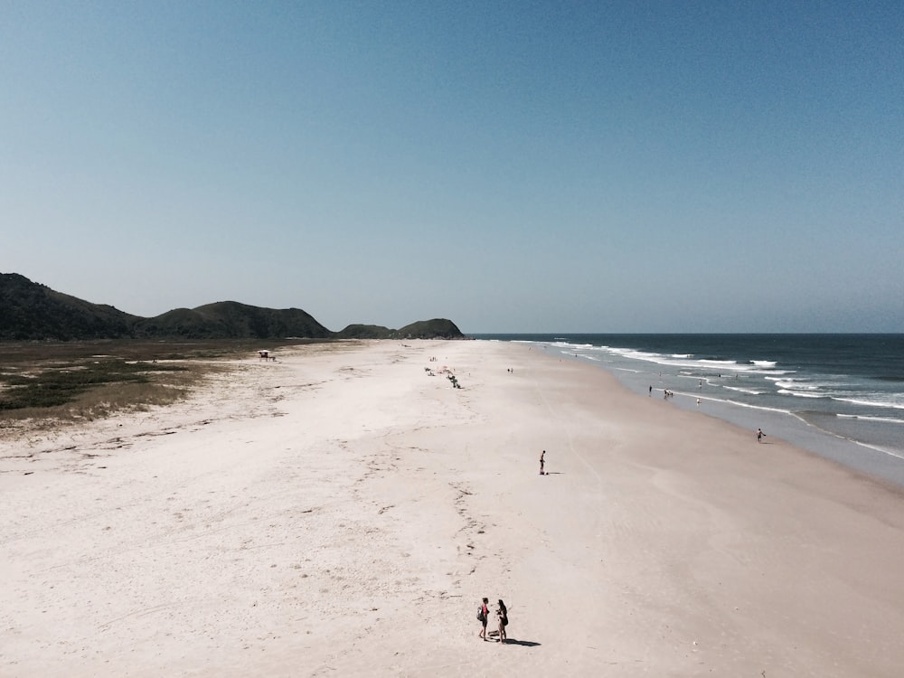 people on seashore at daytime