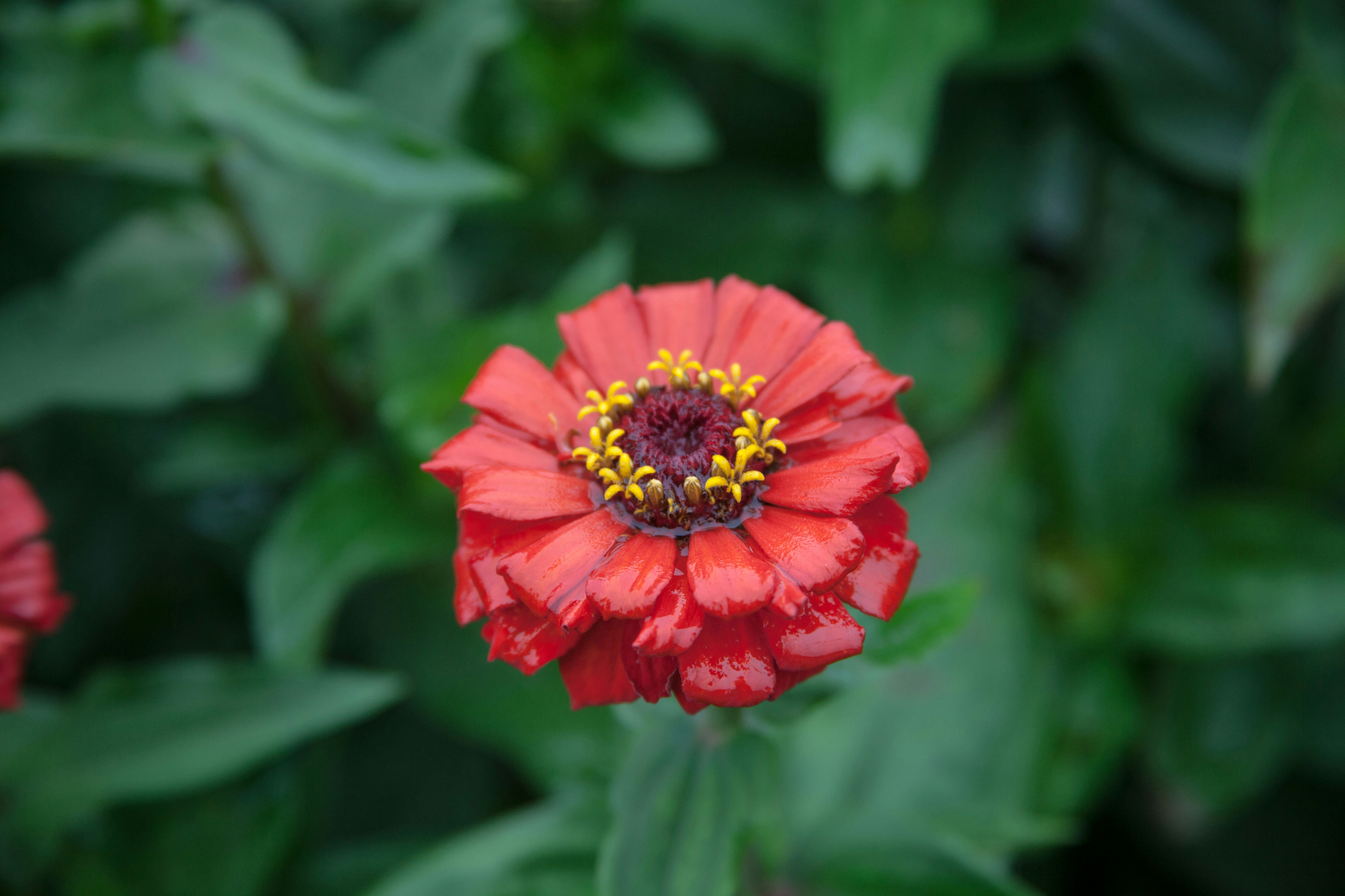 Free Unsplash photo from floboe