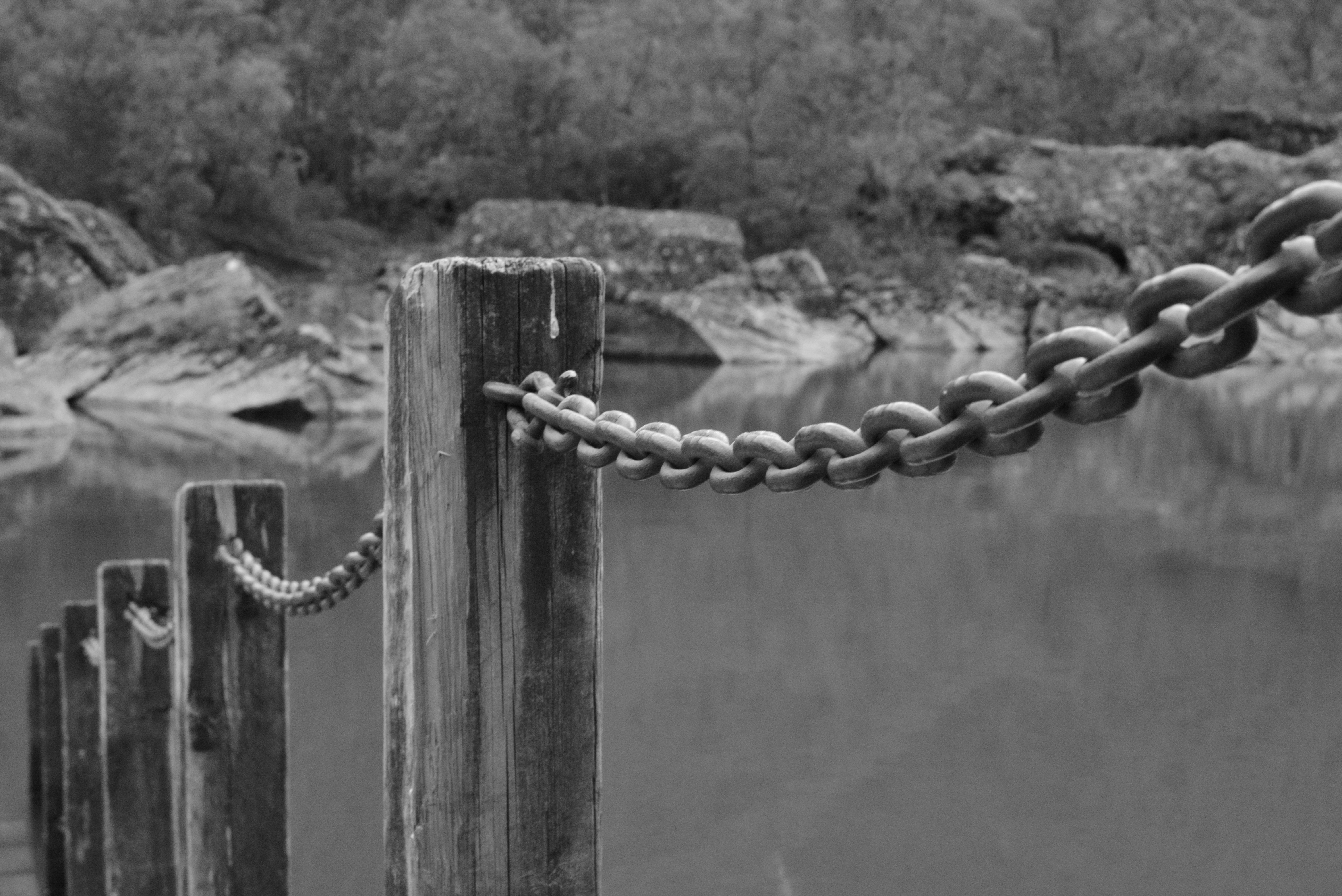 Free Unsplash photo from Katrin Selsam-GEißler