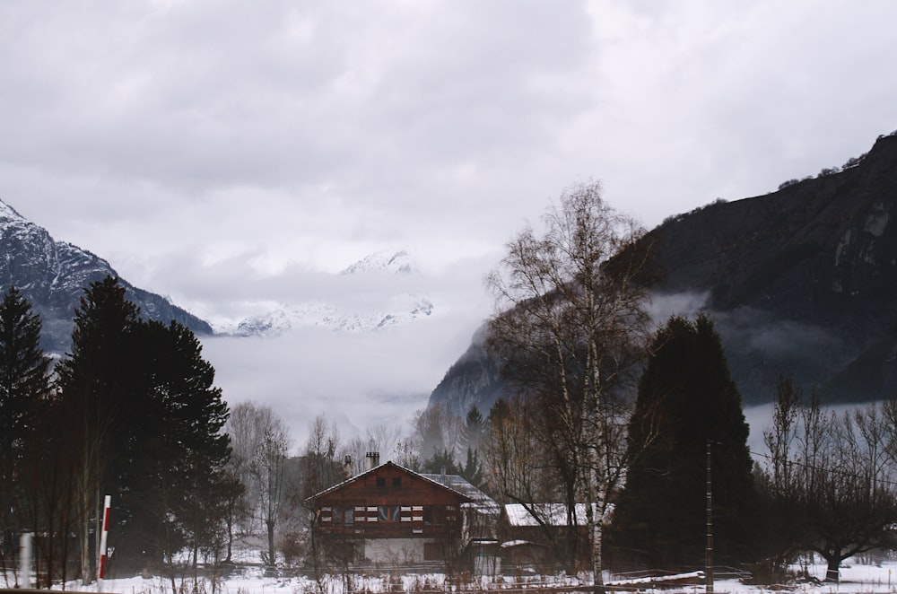 a house in the middle of a snowy field