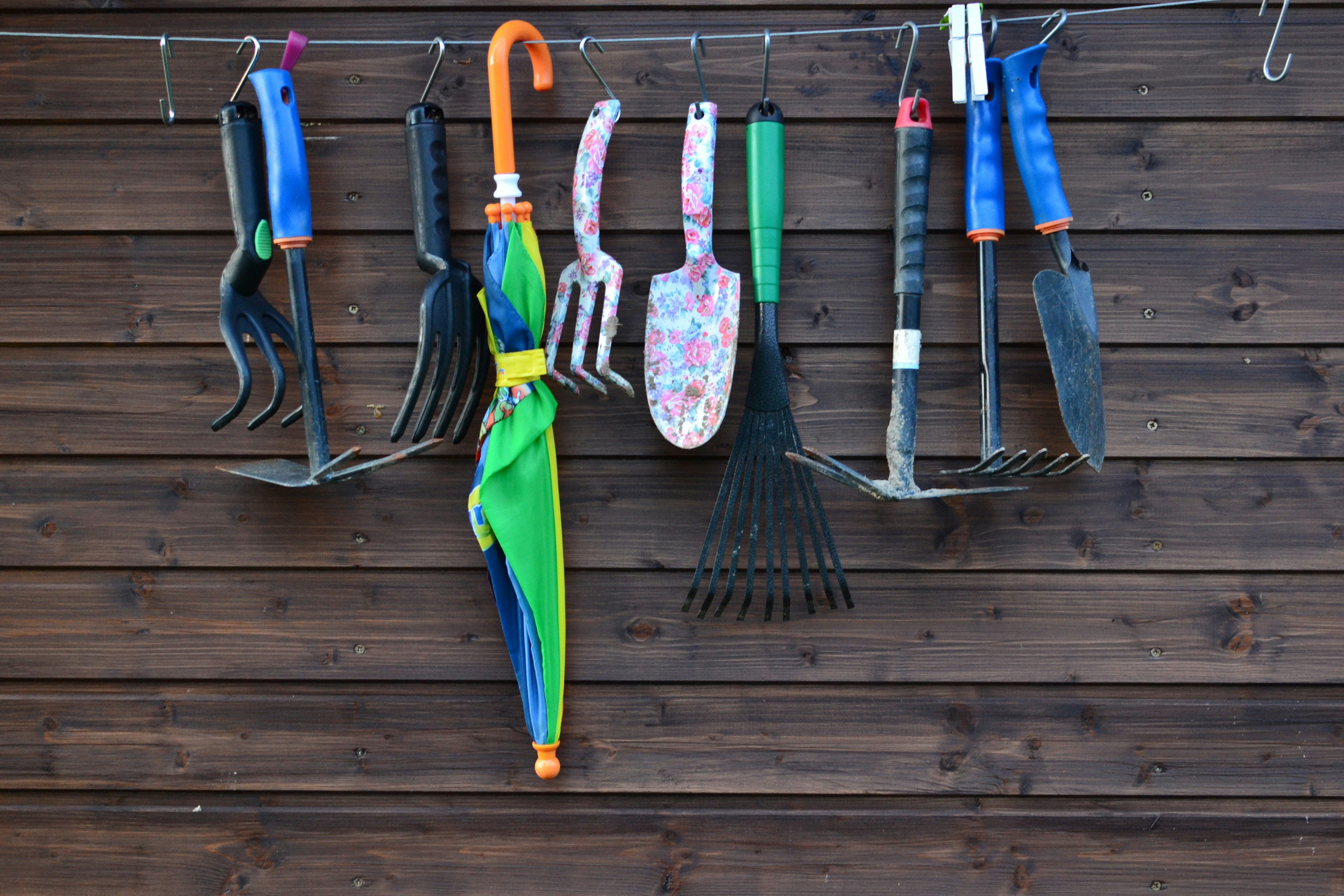 Free Unsplash photo from Szűcs László