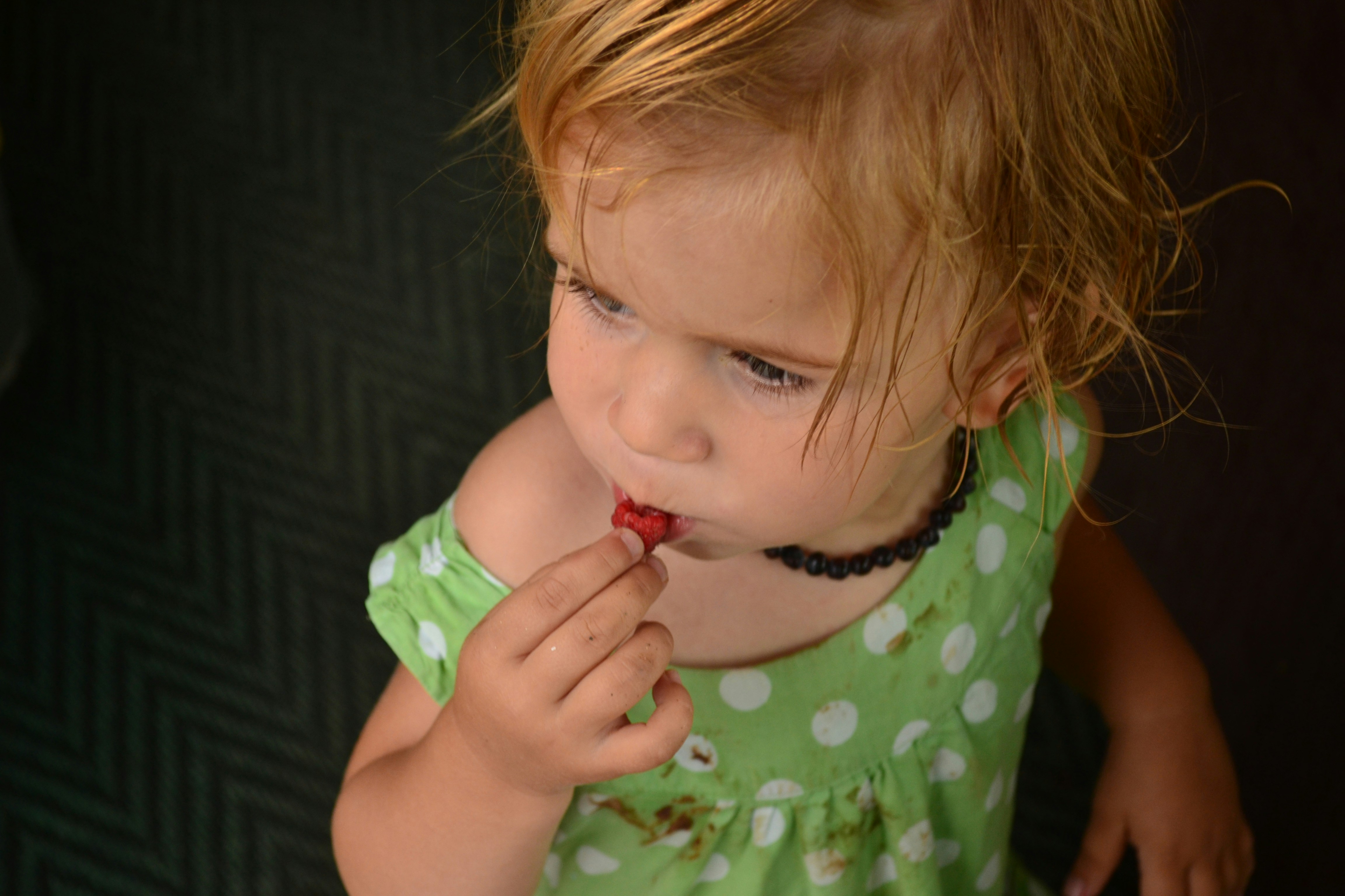 Free Unsplash photo from Szűcs László