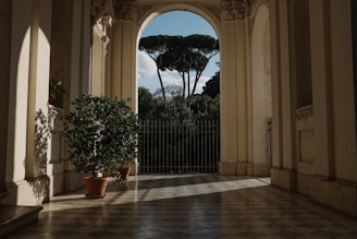 photo of green leafed plants inside hallway