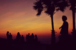 A sunset backdrop with silhouettes of the wolfpack members standing strong side by side.