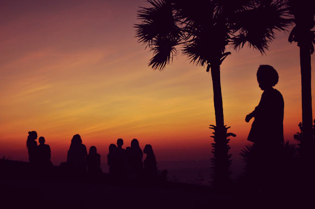 A sunset backdrop with silhouettes of the wolfpack members standing strong side by side.