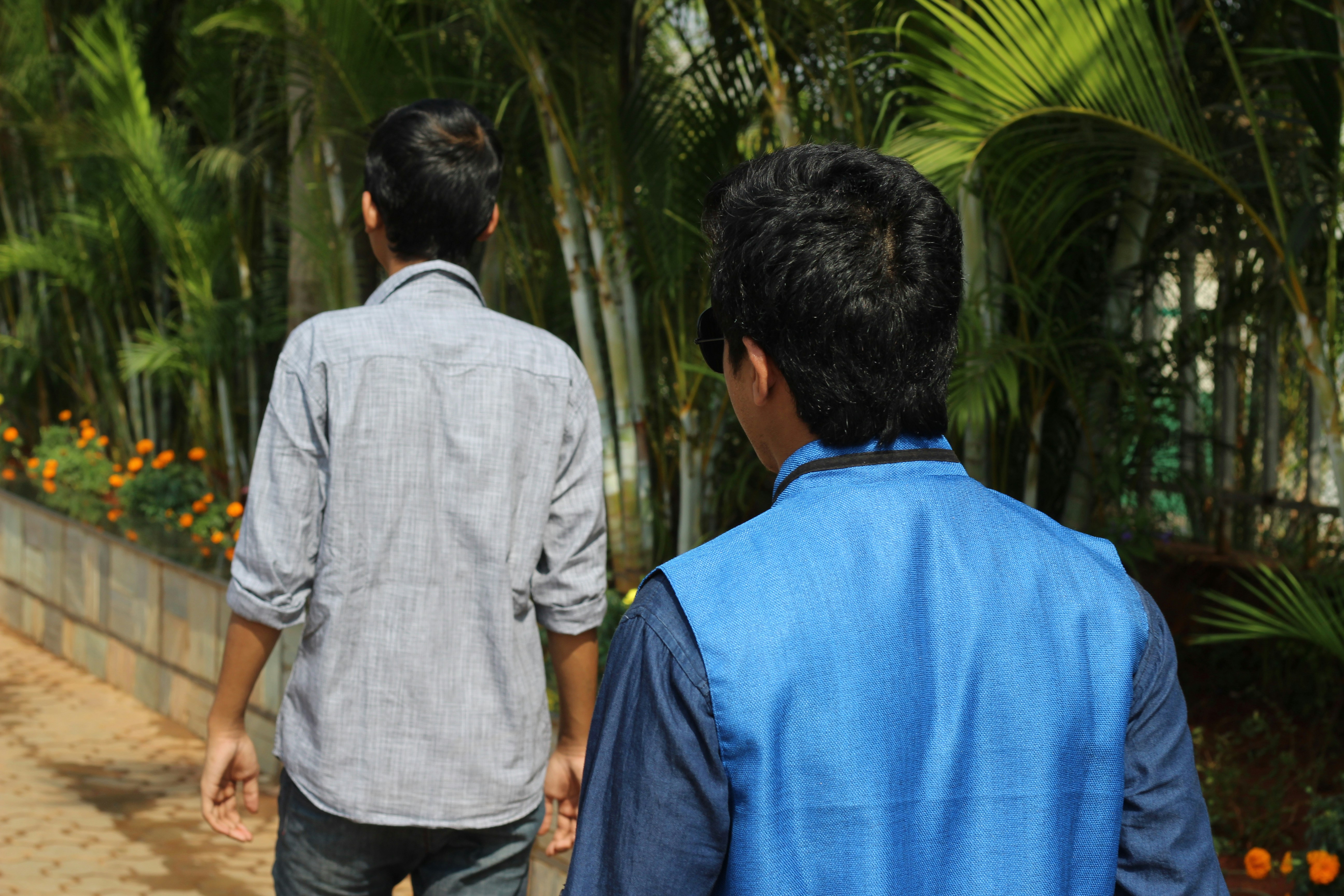 Free Unsplash photo from Krishna MISHRA