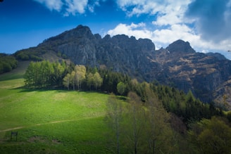 A lush, green landscape with a vibrant grass field in the foreground. Dense clusters of trees, including deciduous and evergreen varieties, are situated at the base of a rugged, rocky mountain range. The sky above is partly cloudy, allowing glimpses of blue.