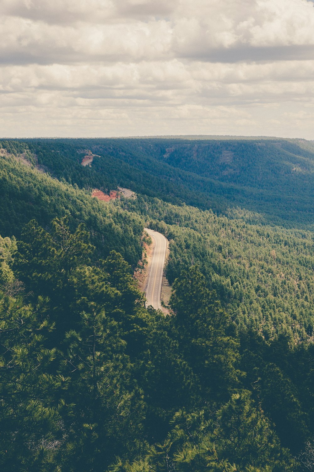 empty gray concrete road top surrounded with trees during daytime