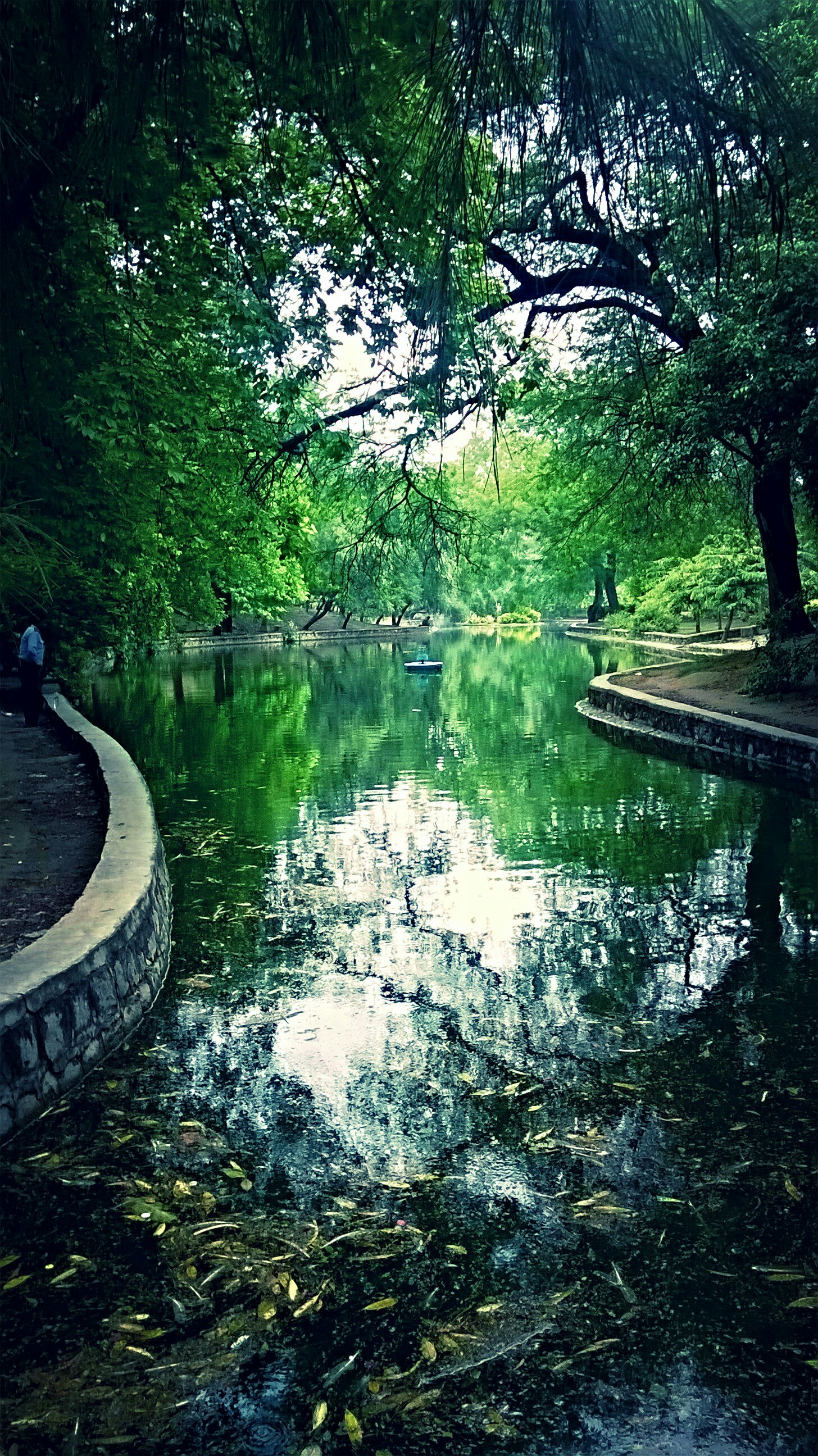 Free Unsplash photo from Michael Bimann