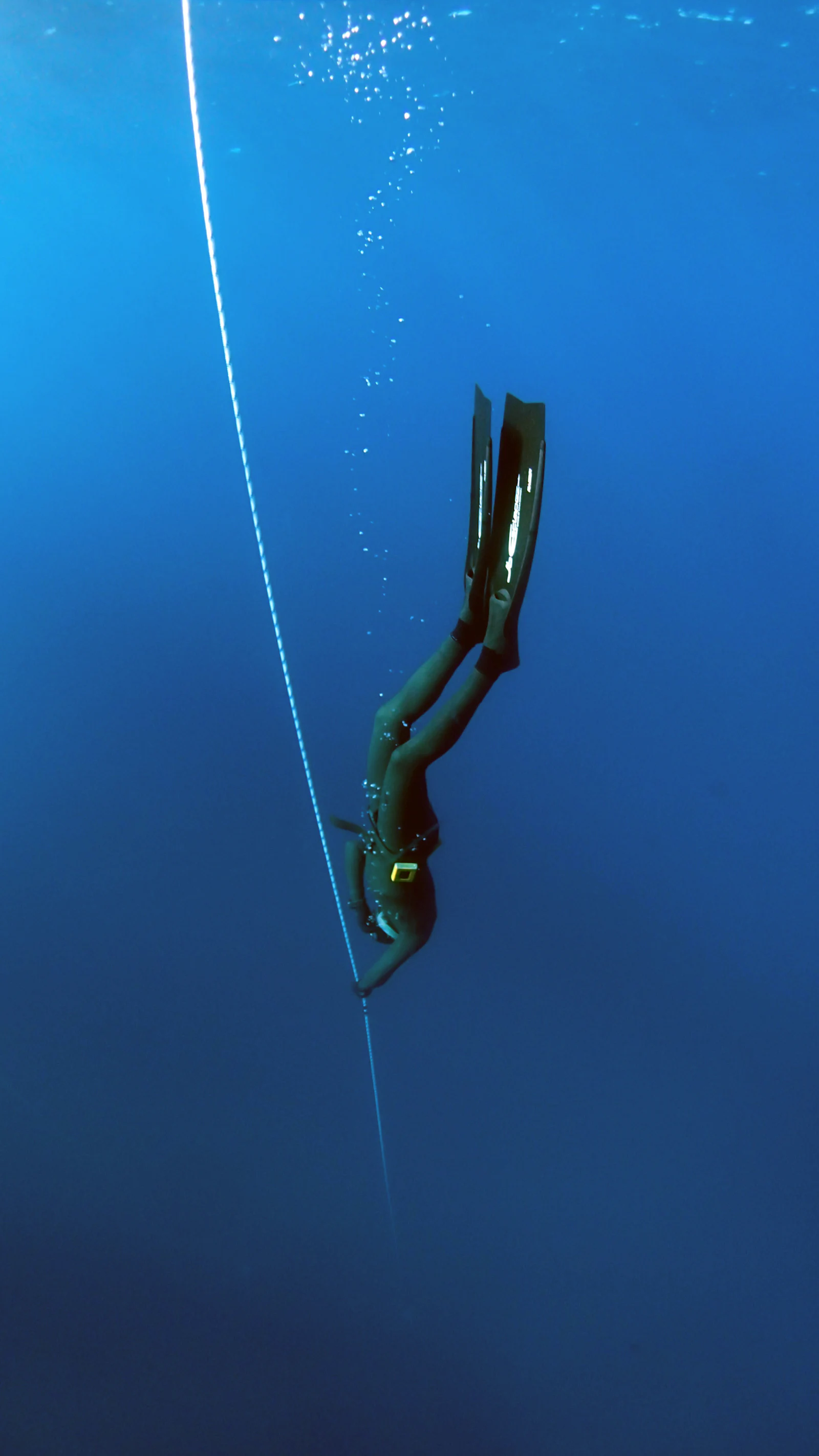 Freediver descending head-first along a dive line into deep blue water