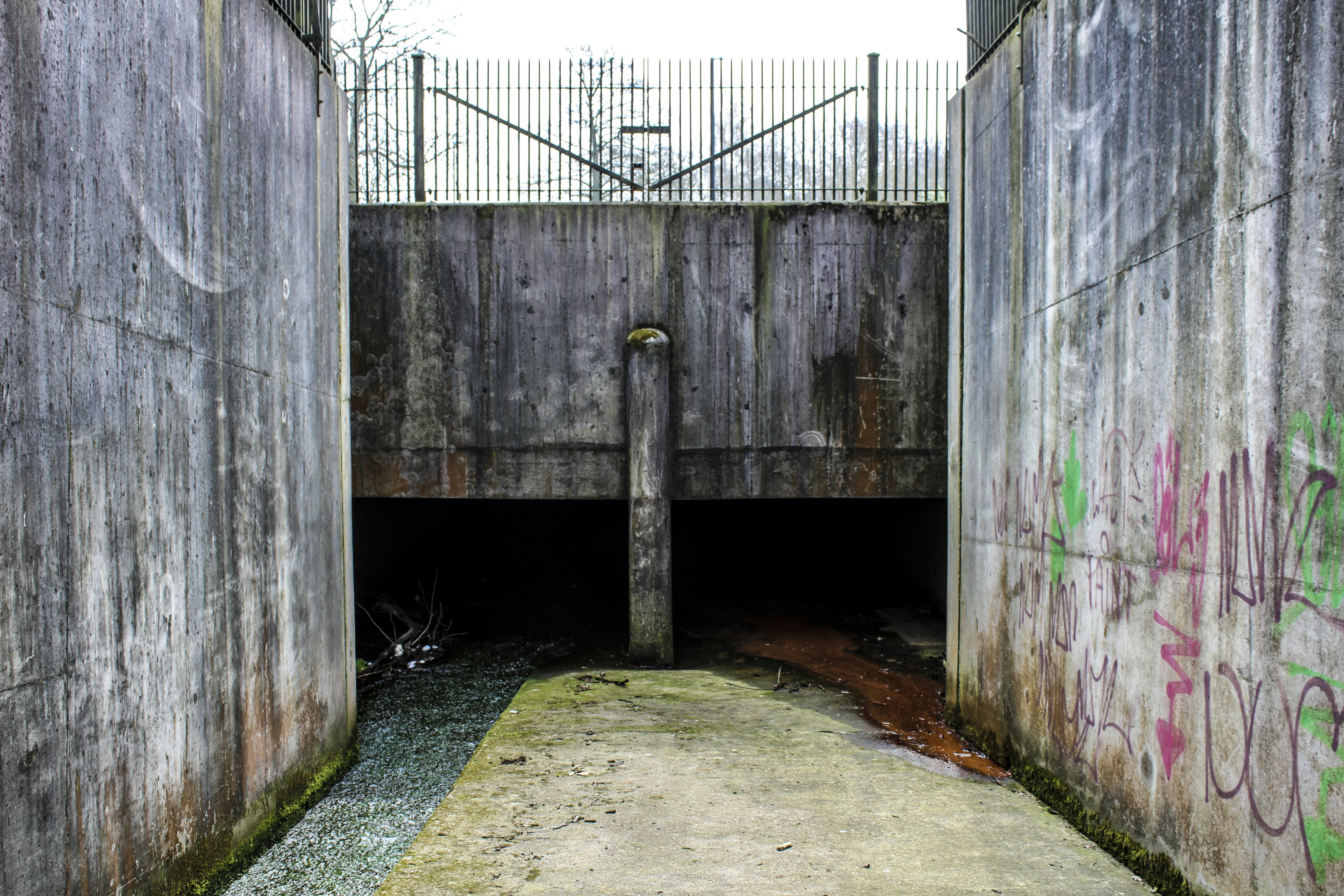 Free Unsplash photo from Will Thompson