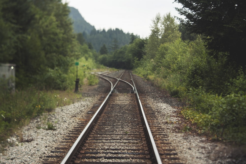 500+ Railway Track Pictures [HD]  Download Free Images on Unsplash