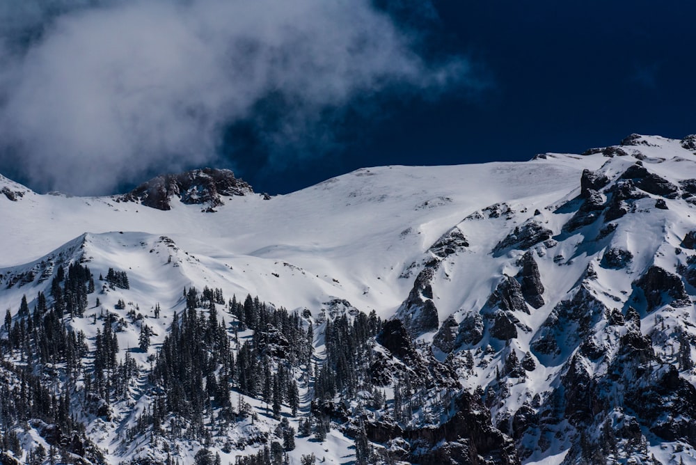 Vista panorâmica de montanhas e árvores cobertas de neve