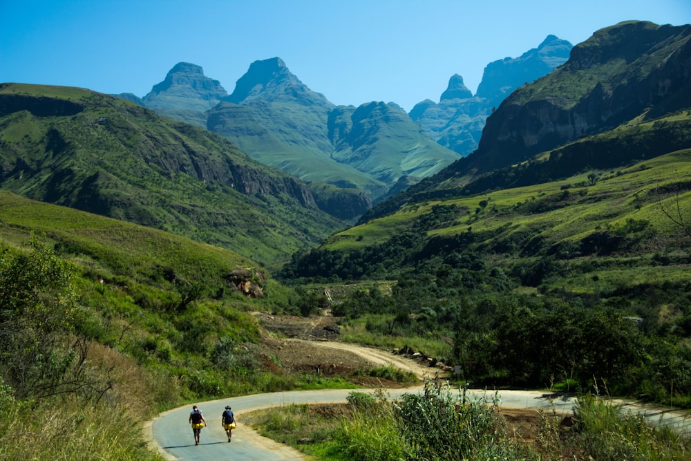 two person walking on concrete road in forest during daytime