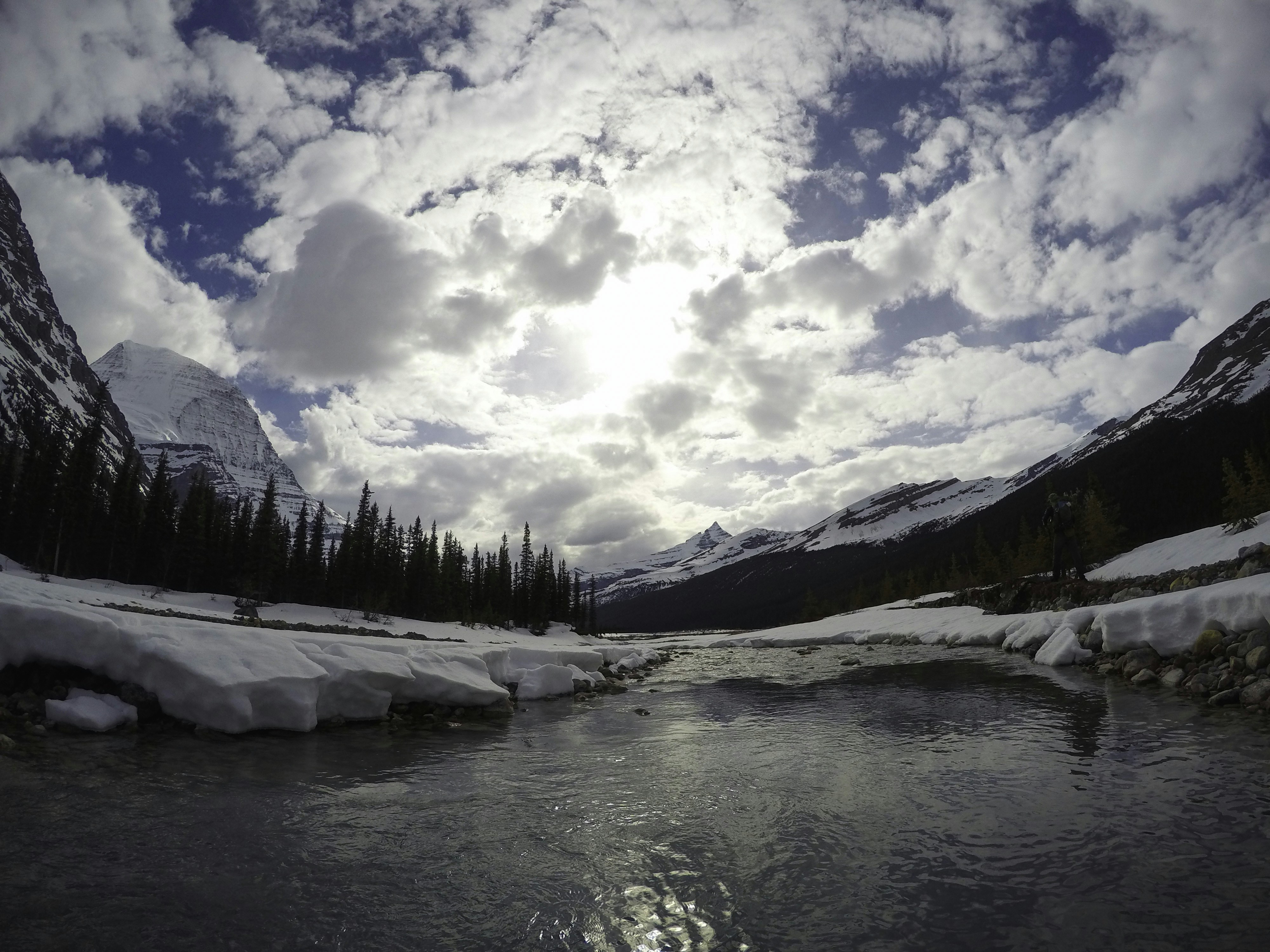 Free Unsplash photo from Nick Saxby