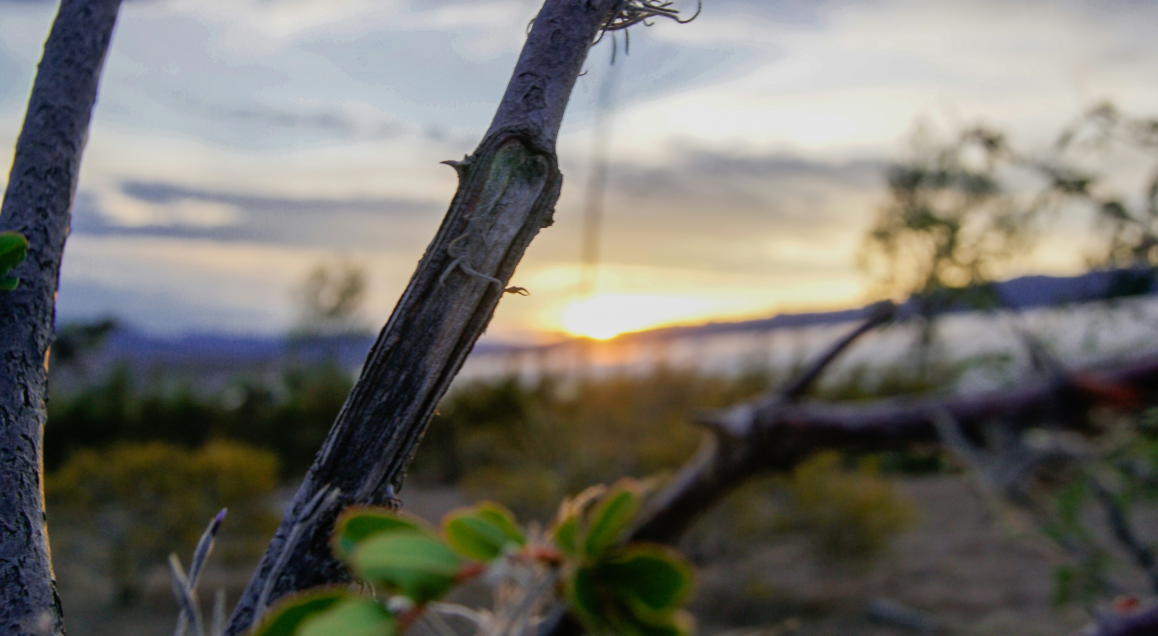 Free Unsplash photo from Andres Sierra