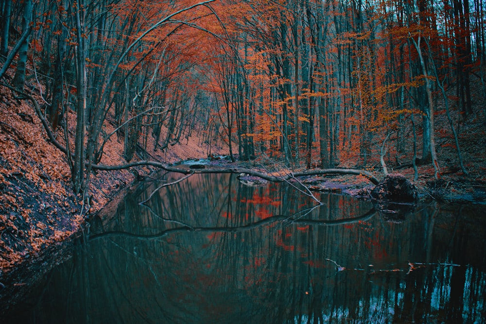 calm body of water