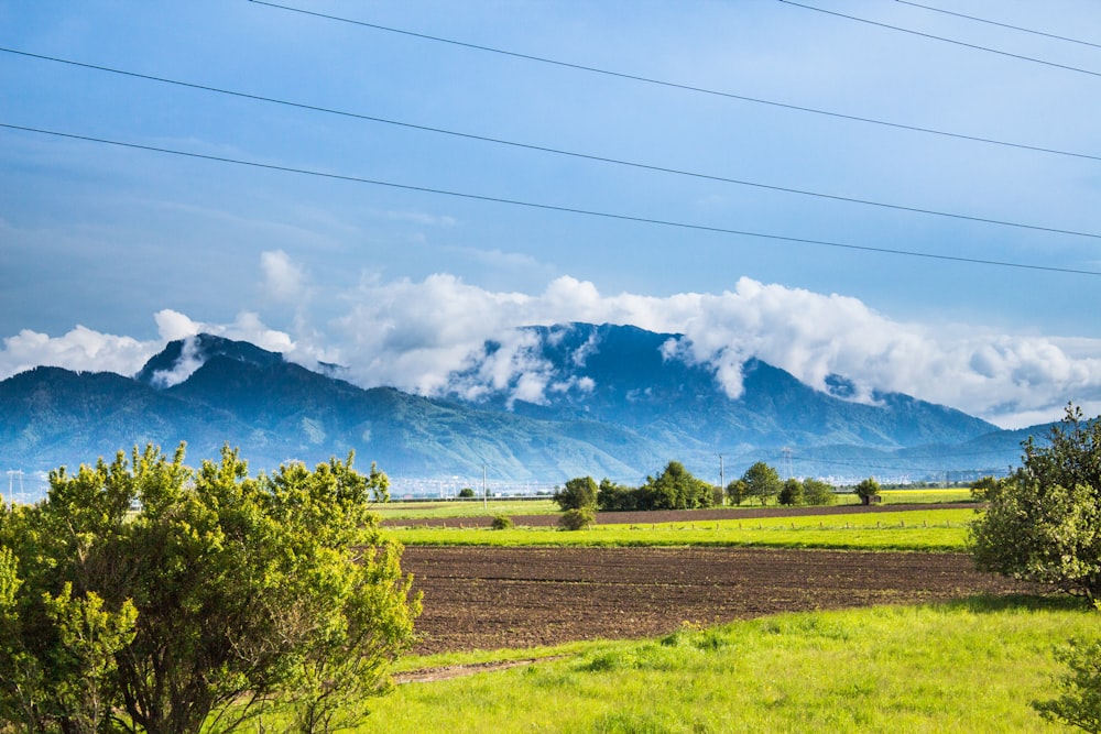 green grass field near mountain under blue sky during daytime