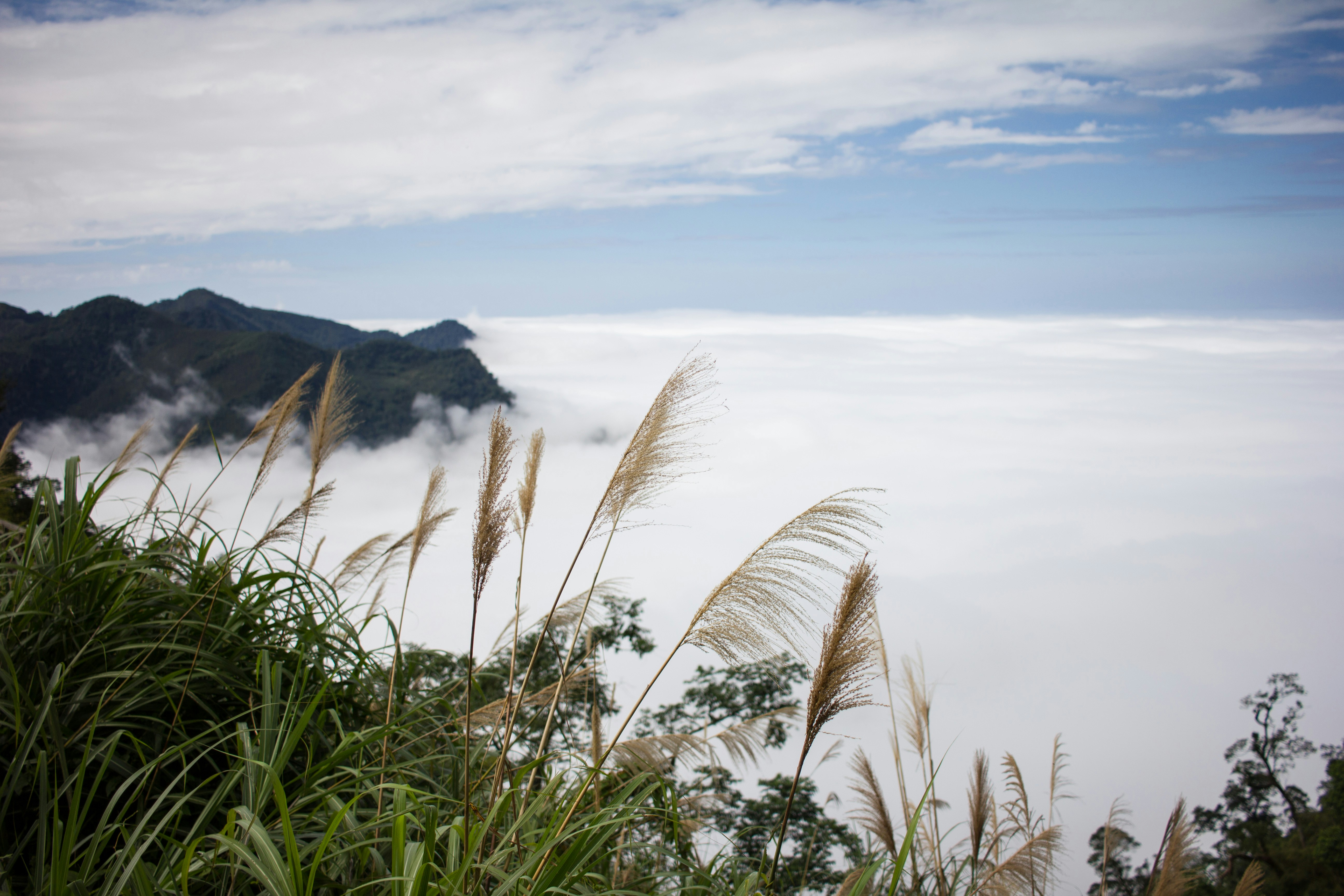 Free Unsplash photo from Enoch Hsiao