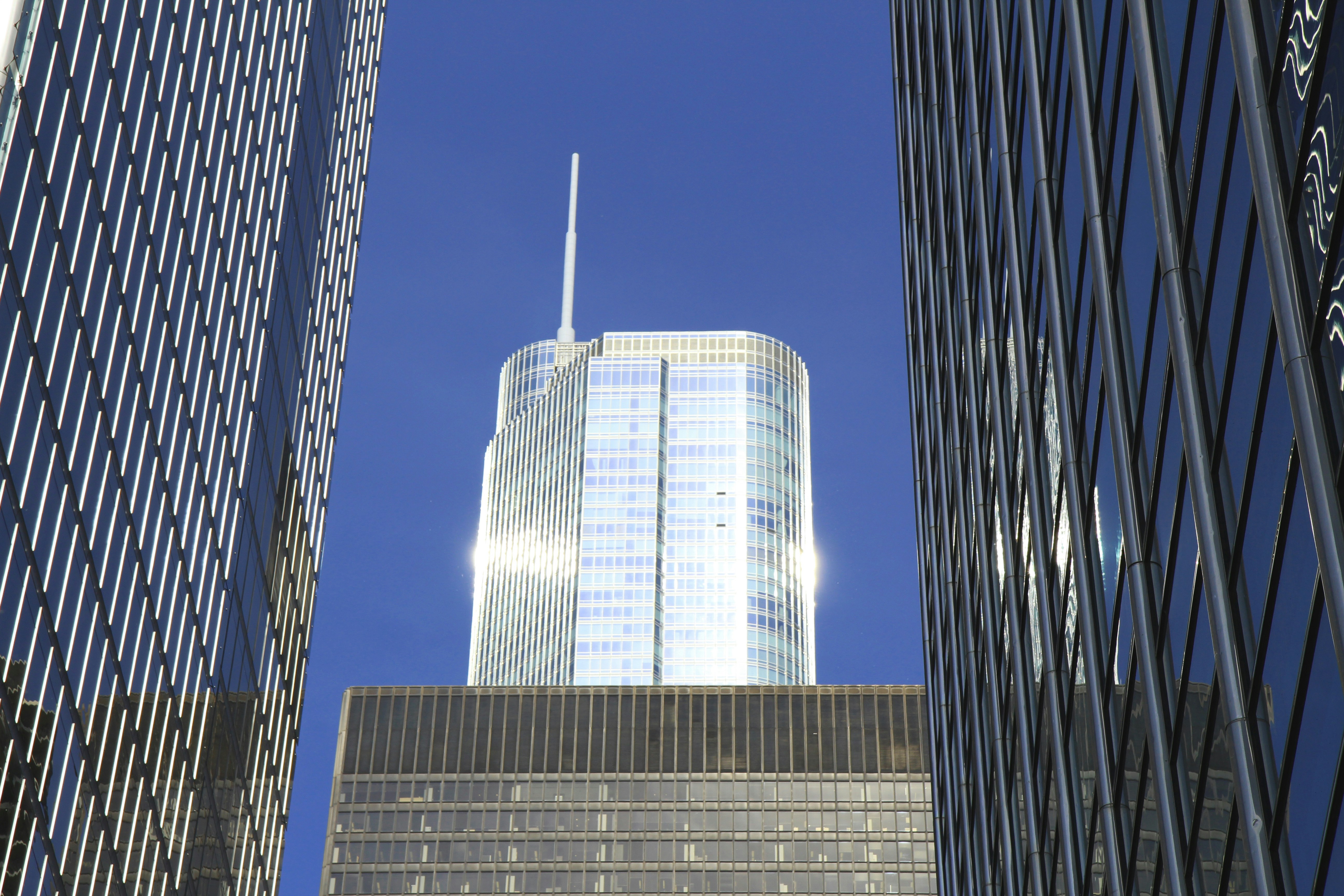 Free Unsplash photo from Jasmin Welter