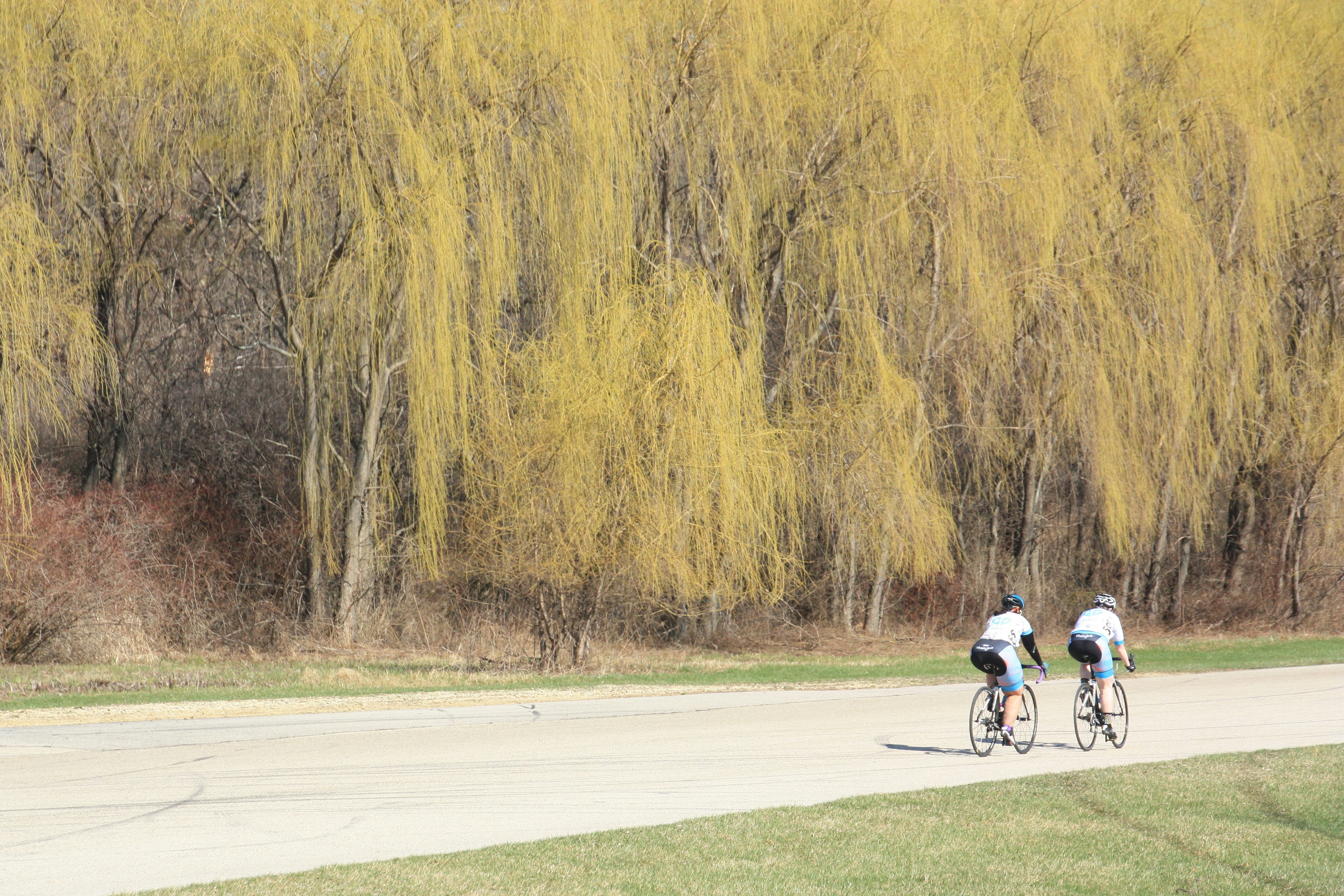 Free Unsplash photo from Jasmin Welter