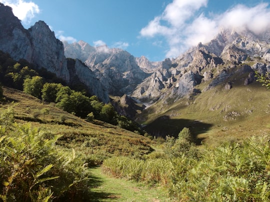 mountain range with green grassy mountainside in Parque Nacional de Los Picos de Europa Spain