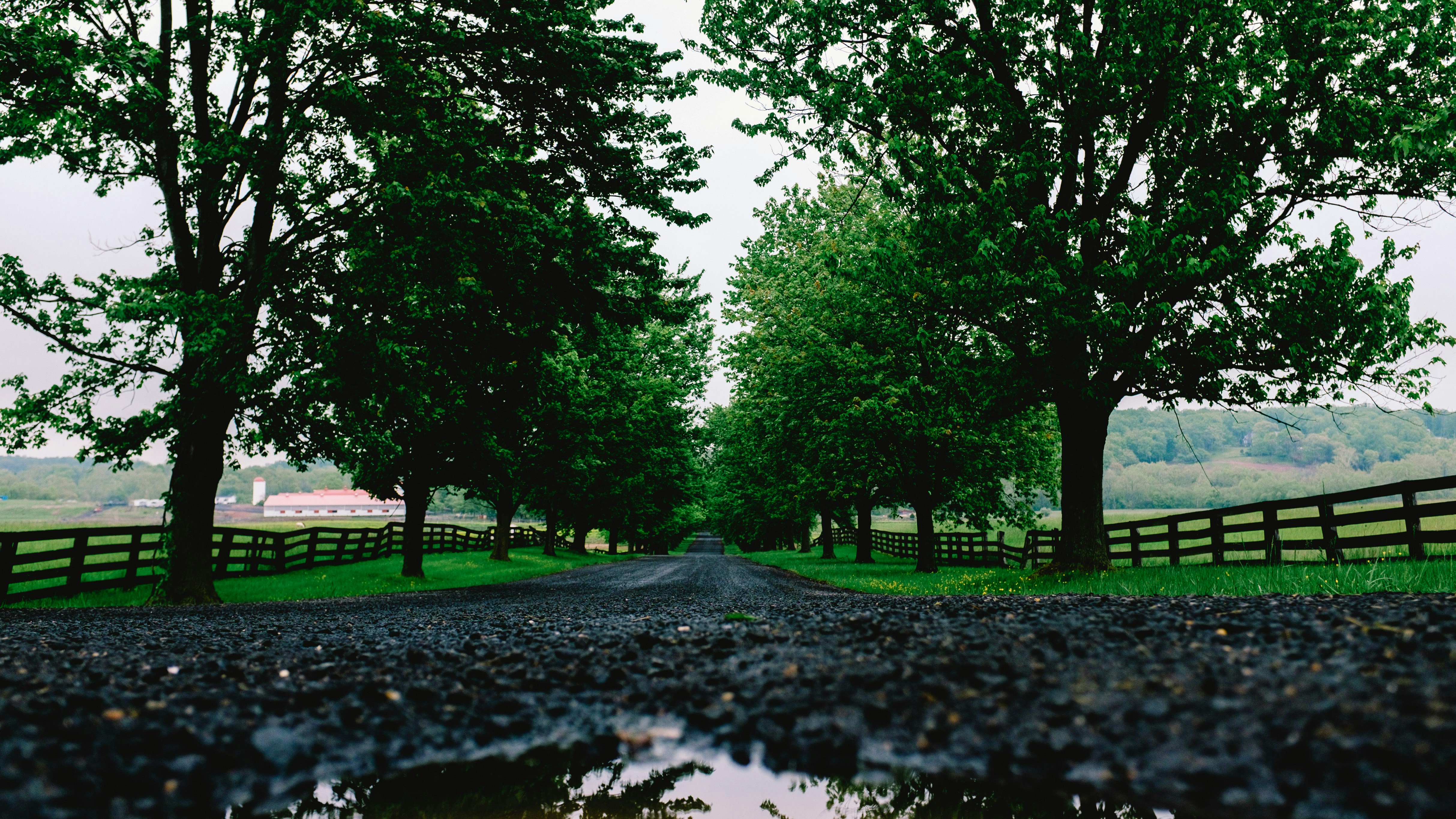 Free Unsplash photo from Mike Marrotte