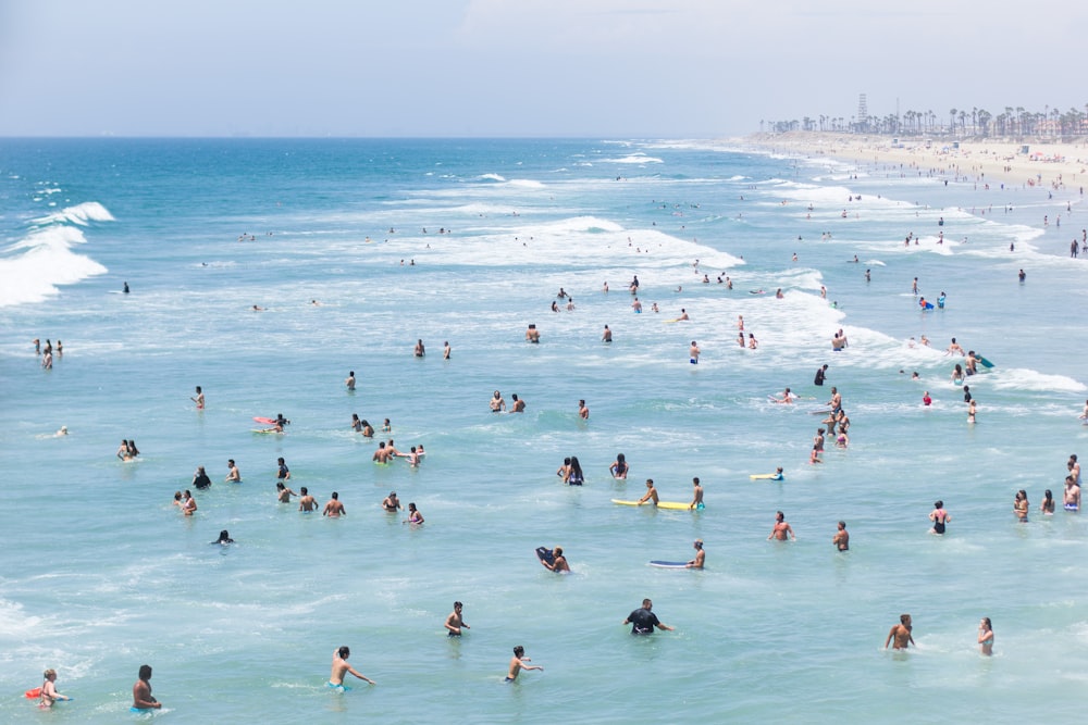 Luftaufnahme einer Gruppe von Menschen, die am Strand schwimmen