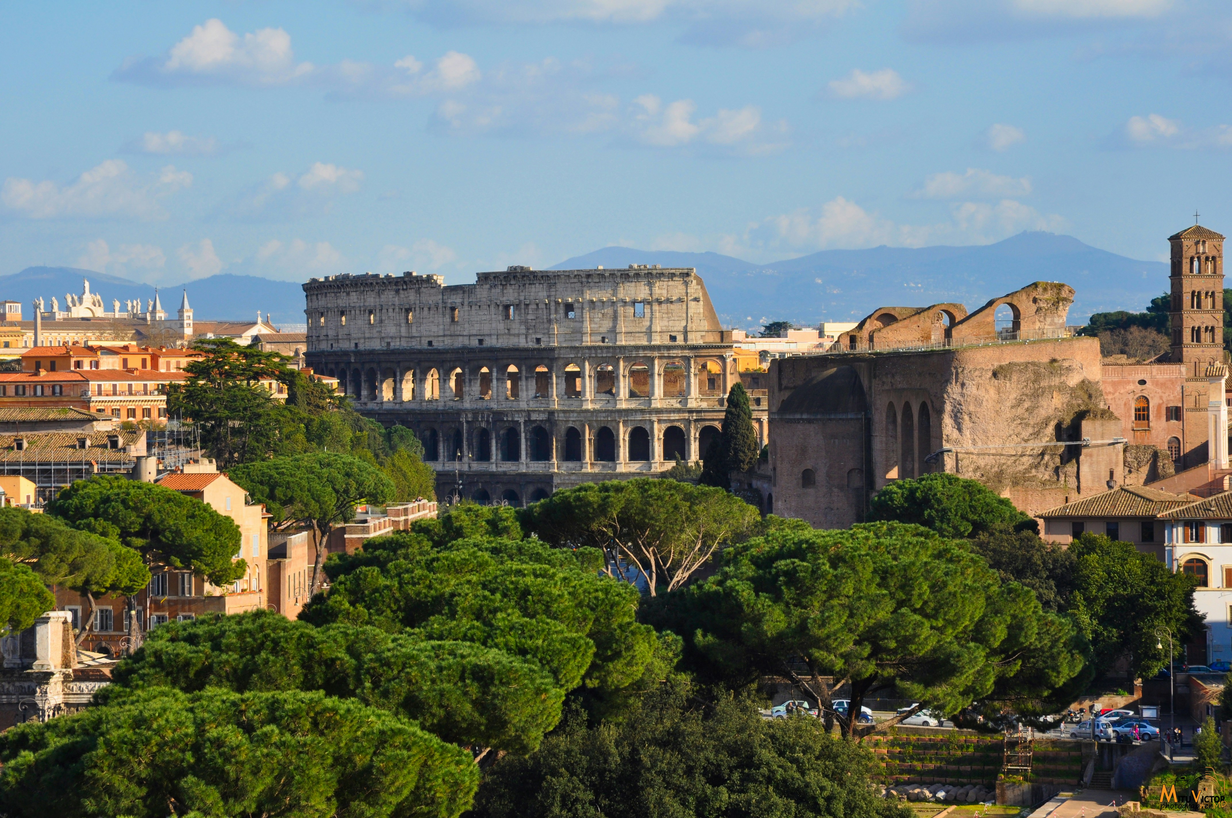 Free Unsplash photo from VIK'PHOTO