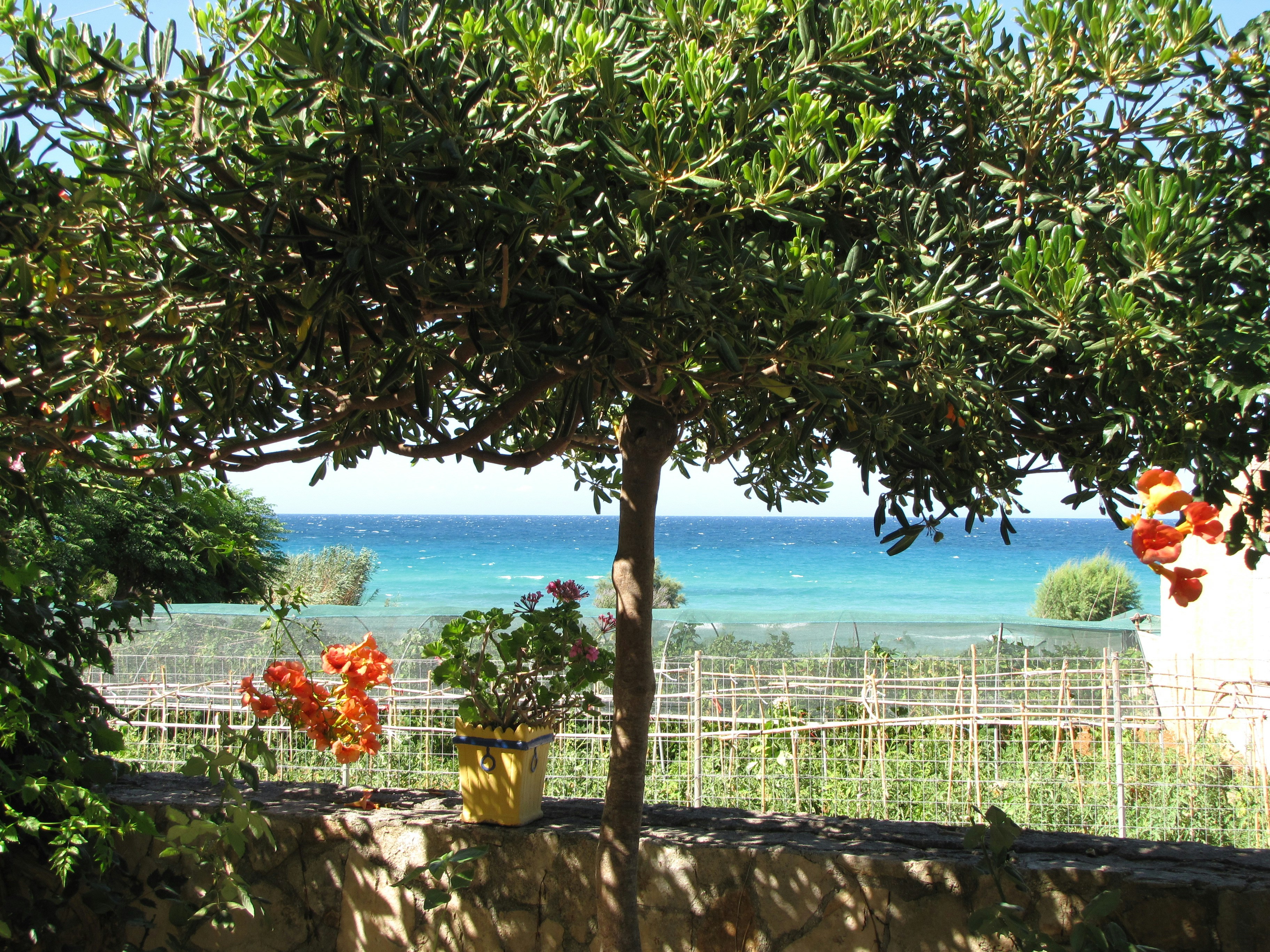 Free Unsplash photo from Kostas Kaisidis