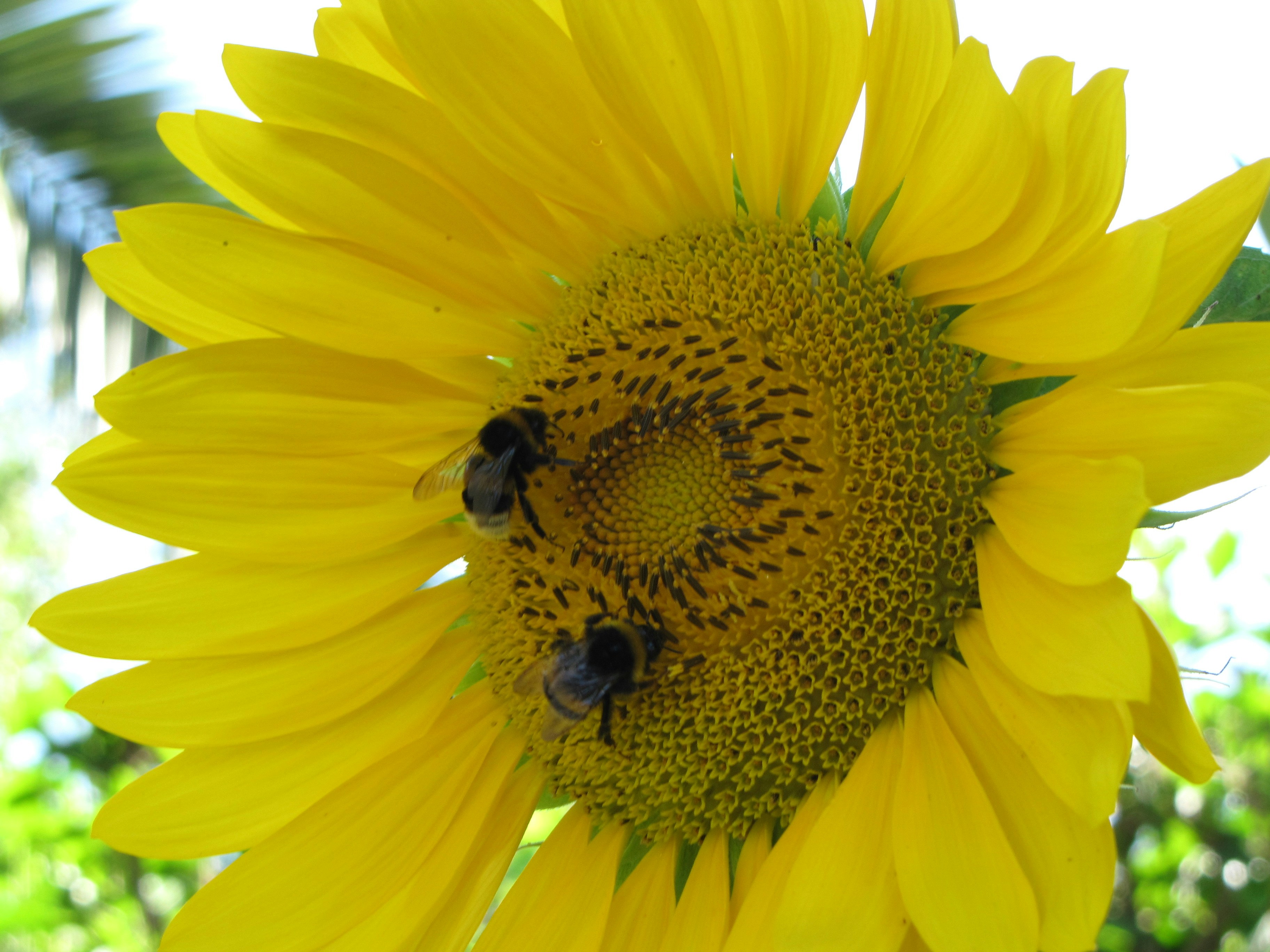 Free Unsplash photo from Kostas Kaisidis