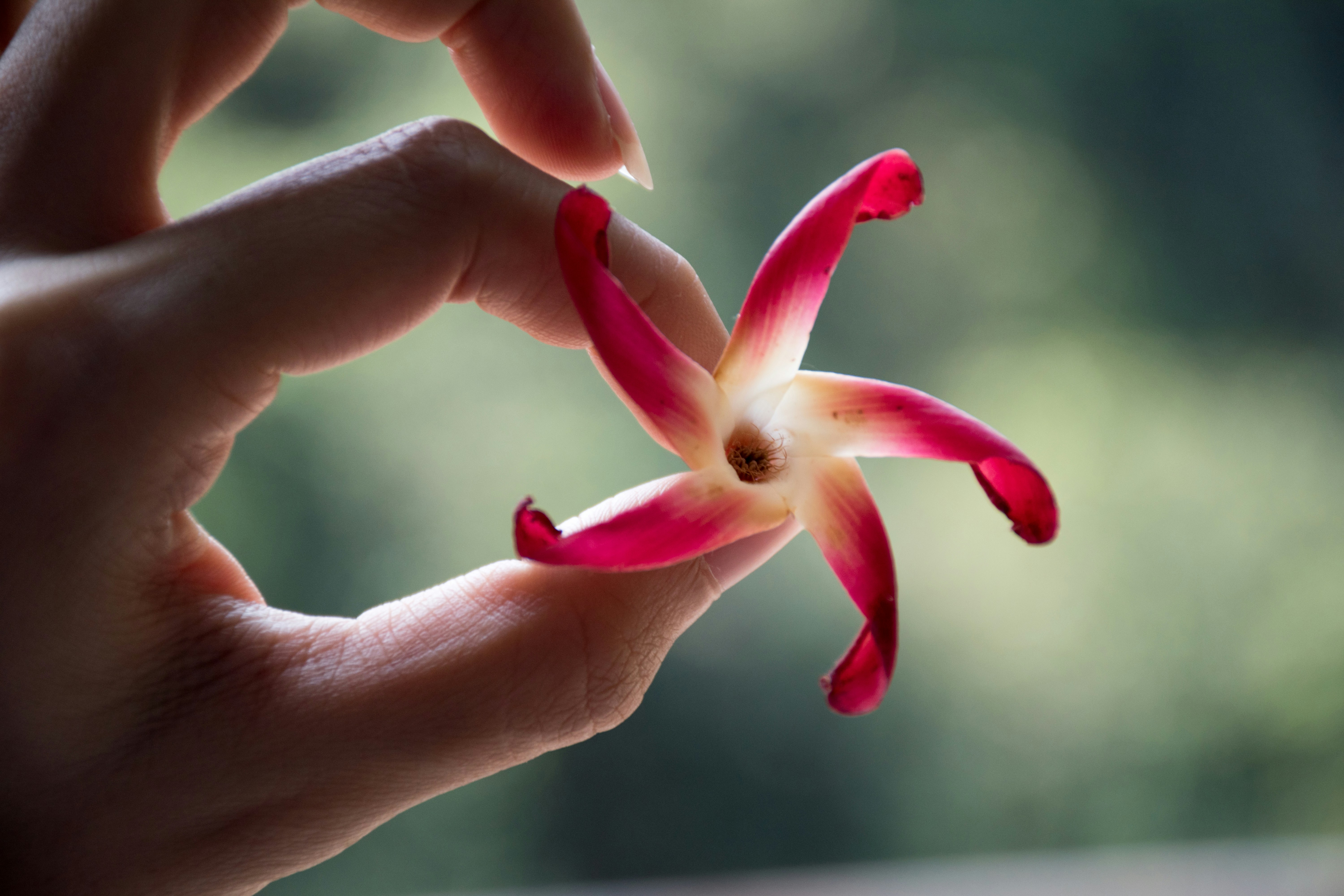 Free Unsplash photo from Warit Nuamngam