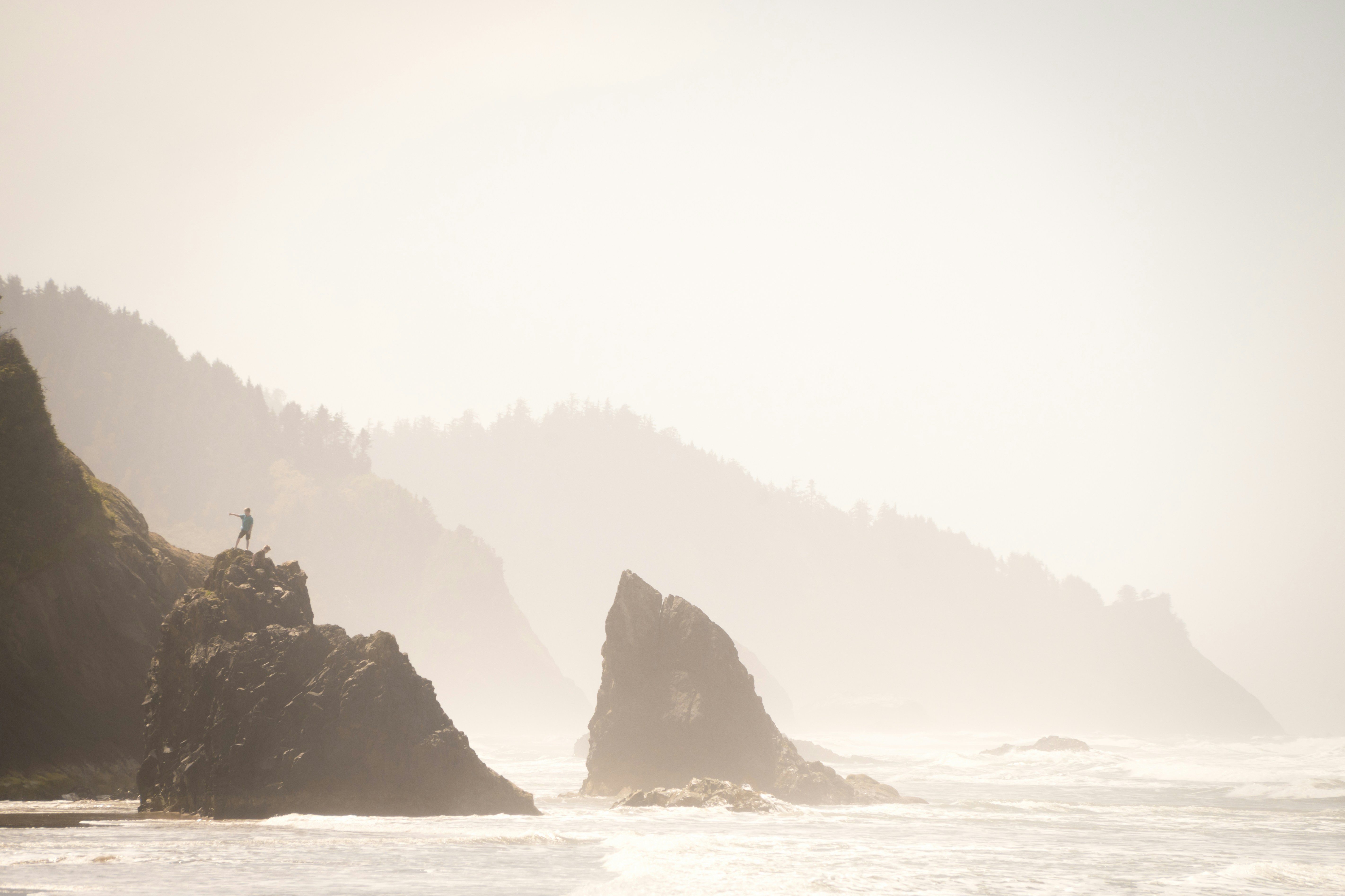 Free Unsplash photo from Myles Tan